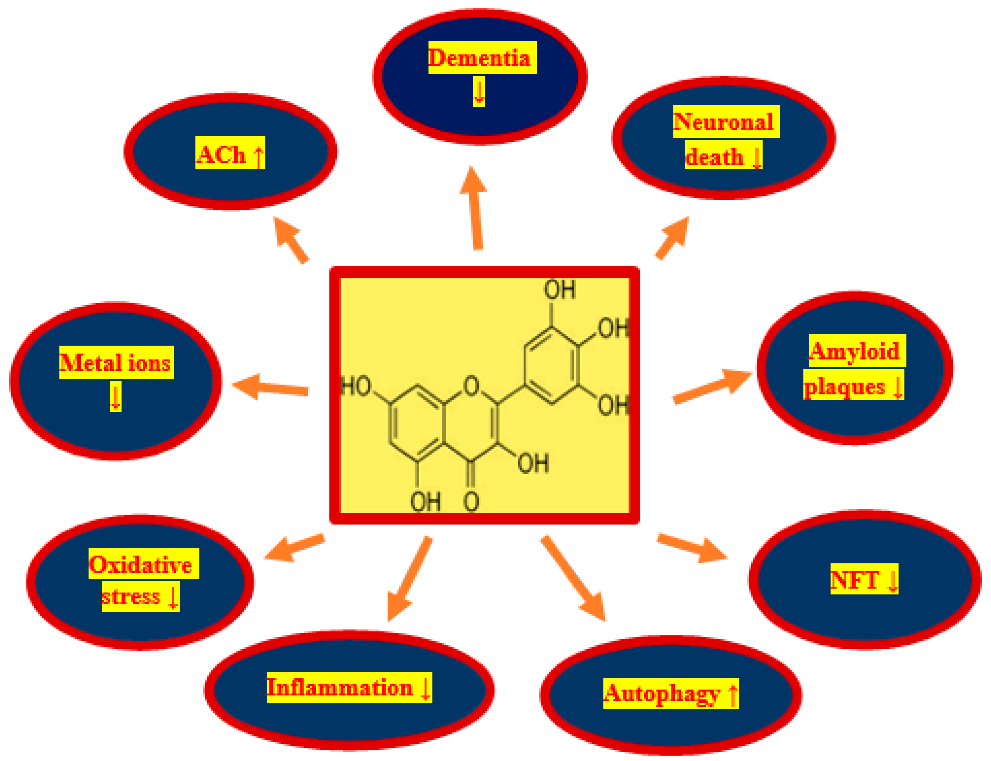 Nutrients 13 00342 g001