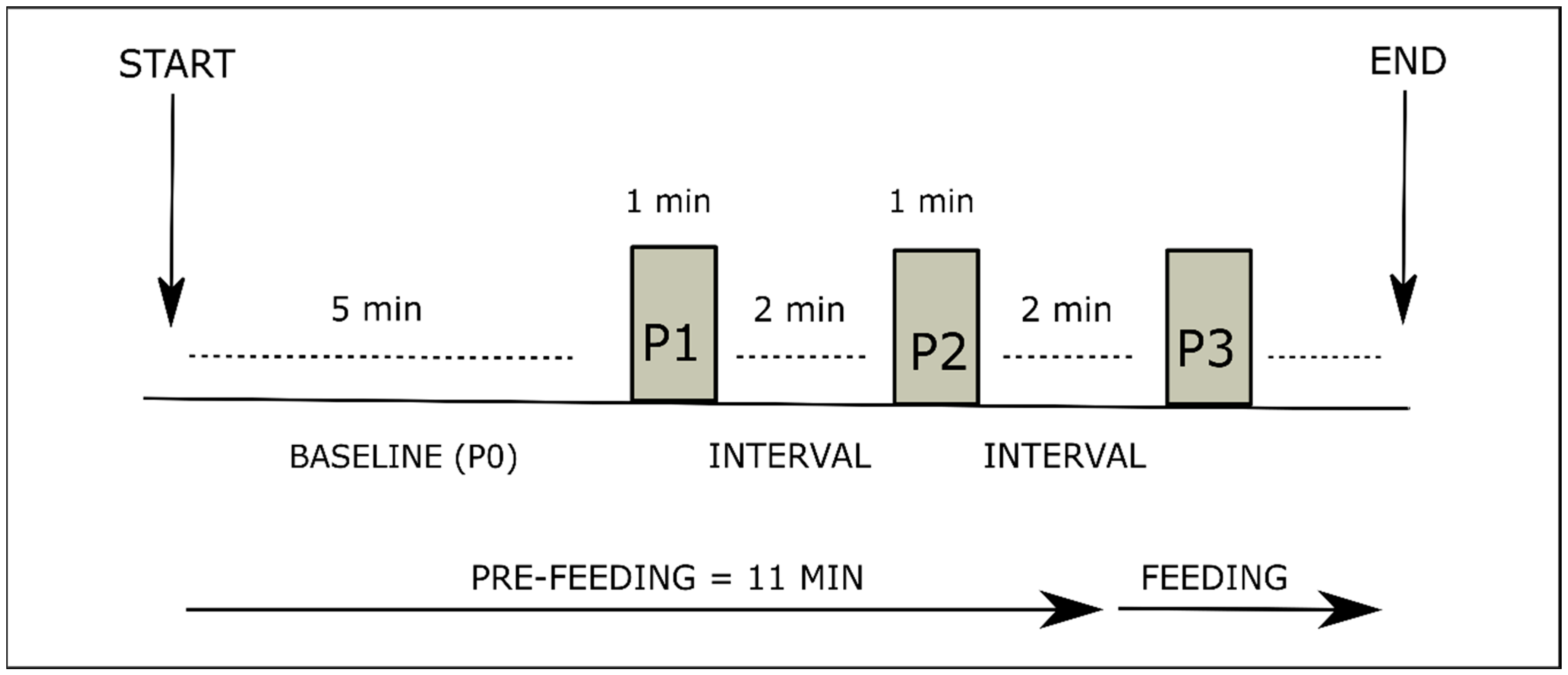 Nutrients 13 00350 g001