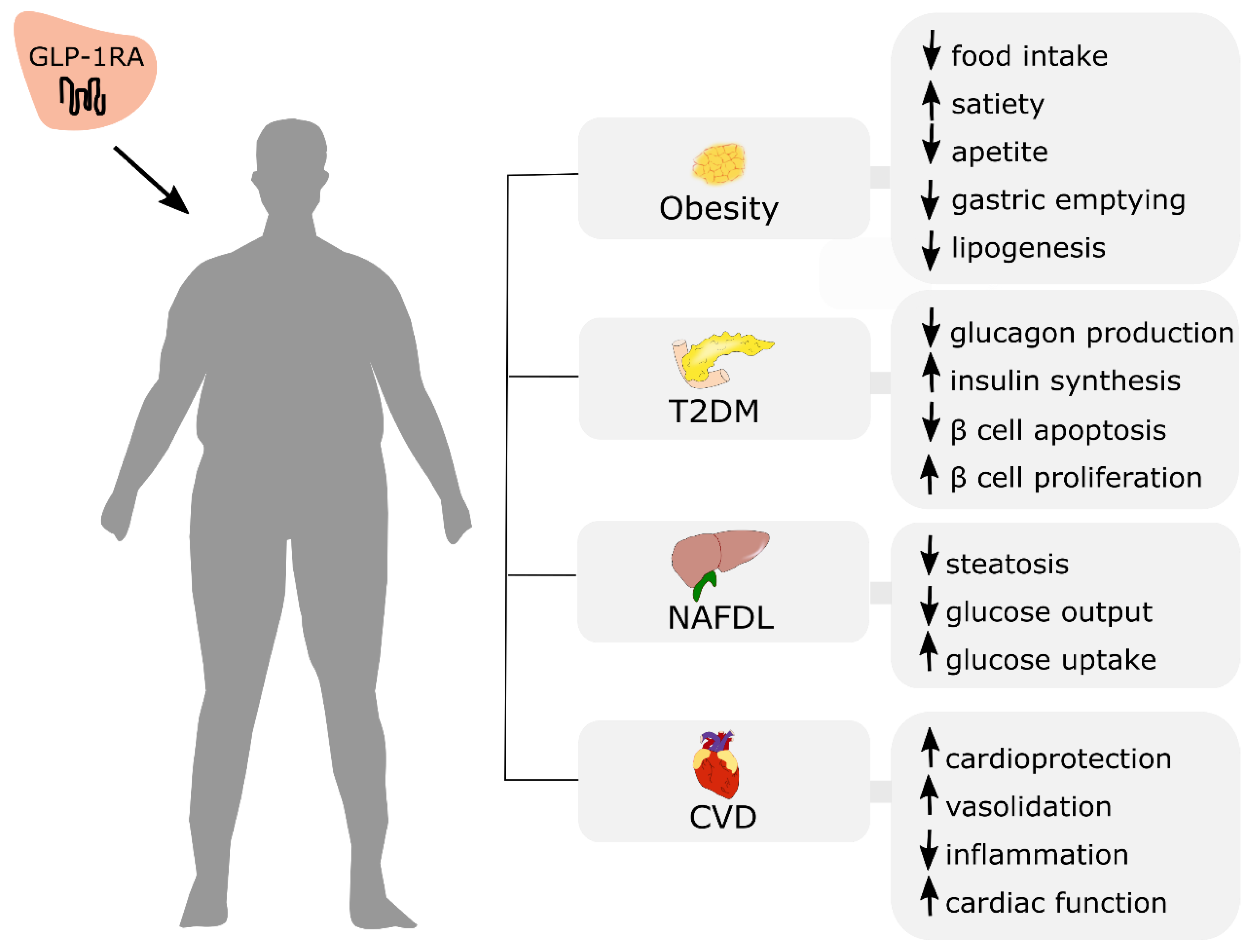 Nutrients 13 00351 g004