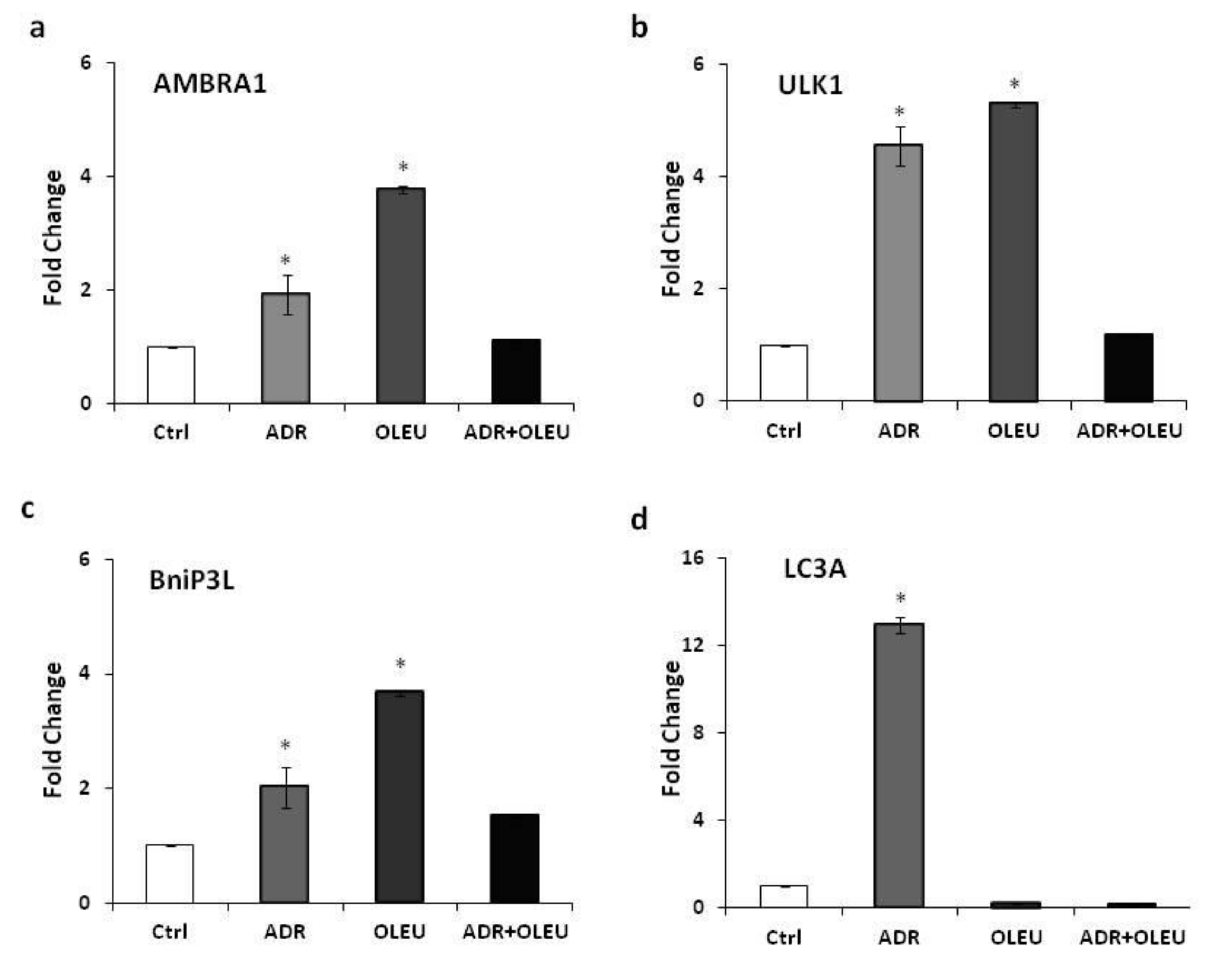 Nutrients 13 00354 g003