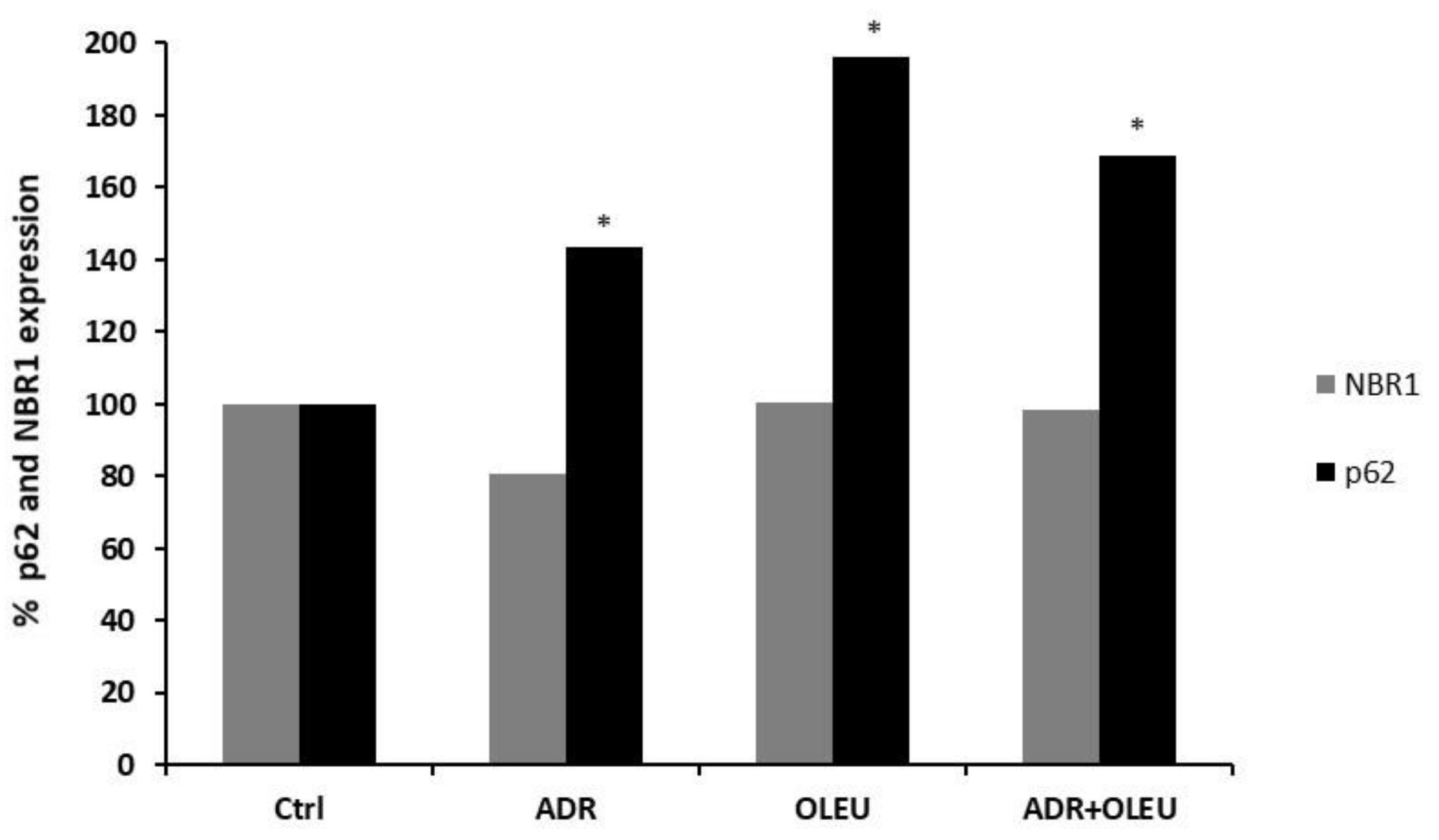 Nutrients 13 00354 g005