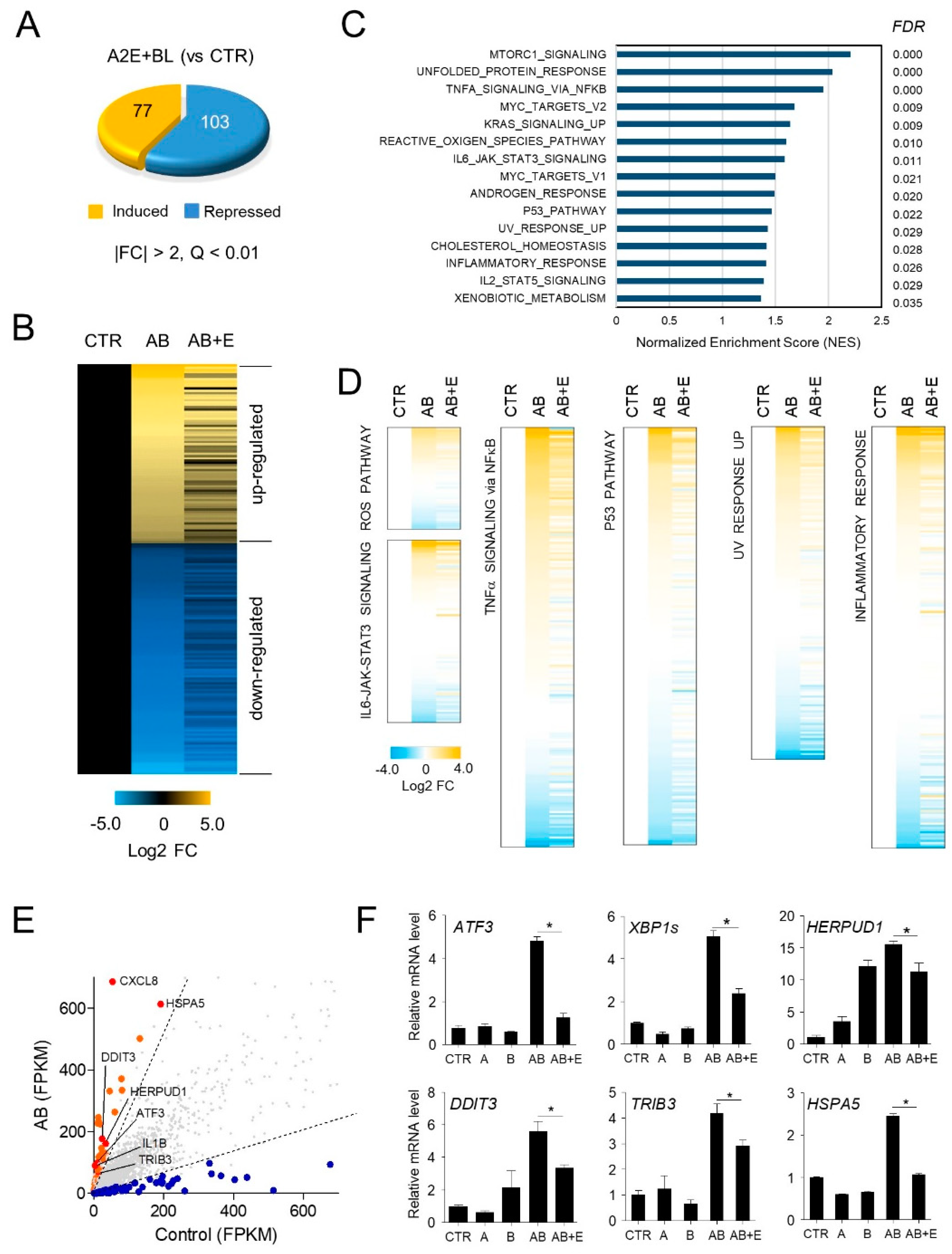 Nutrients 13 00359 g004 Nutrients 13 00359 g004