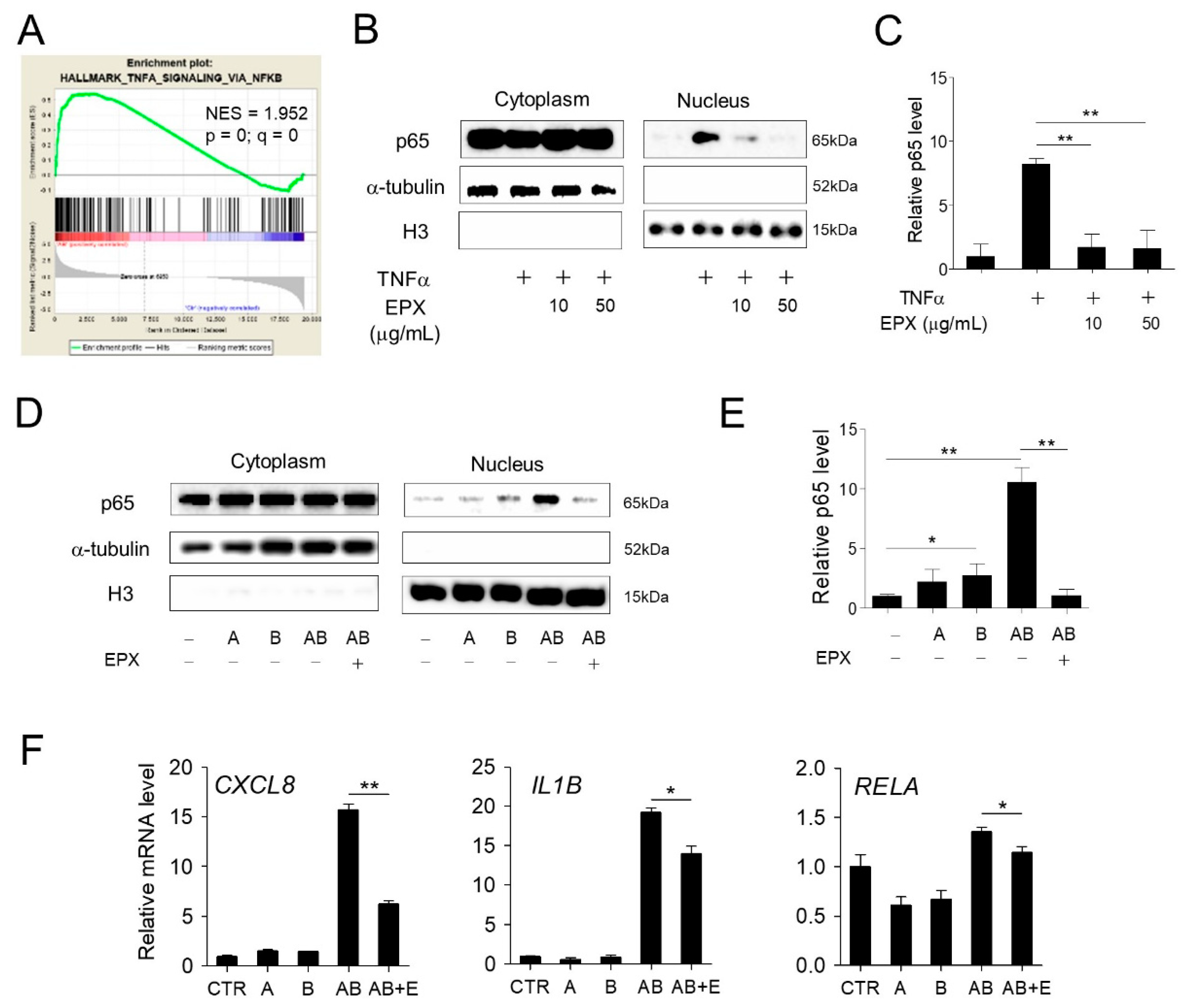 Nutrients 13 00359 g005 Nutrients 13 00359 g005