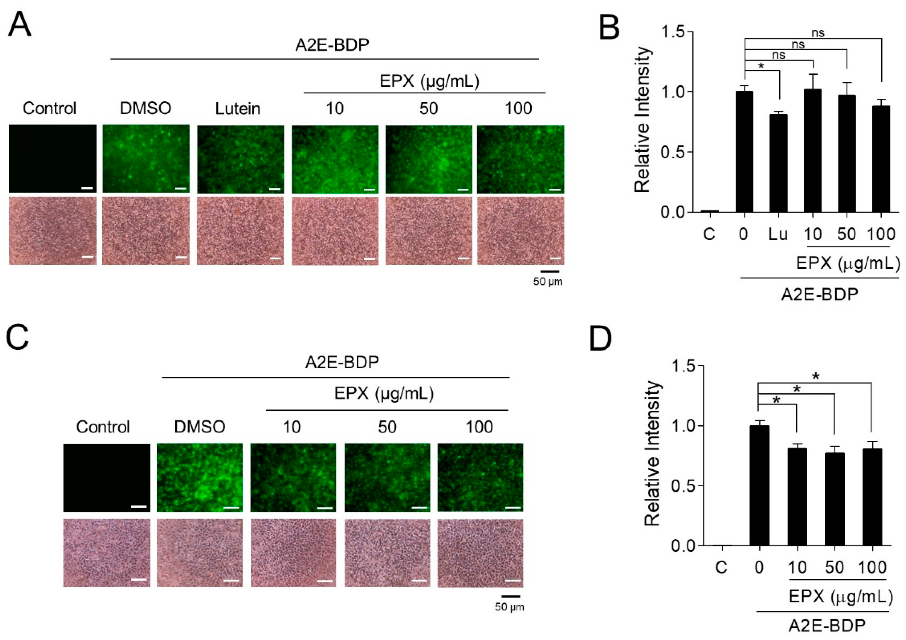 Nutrients 13 00359 g006 Nutrients 13 00359 g006