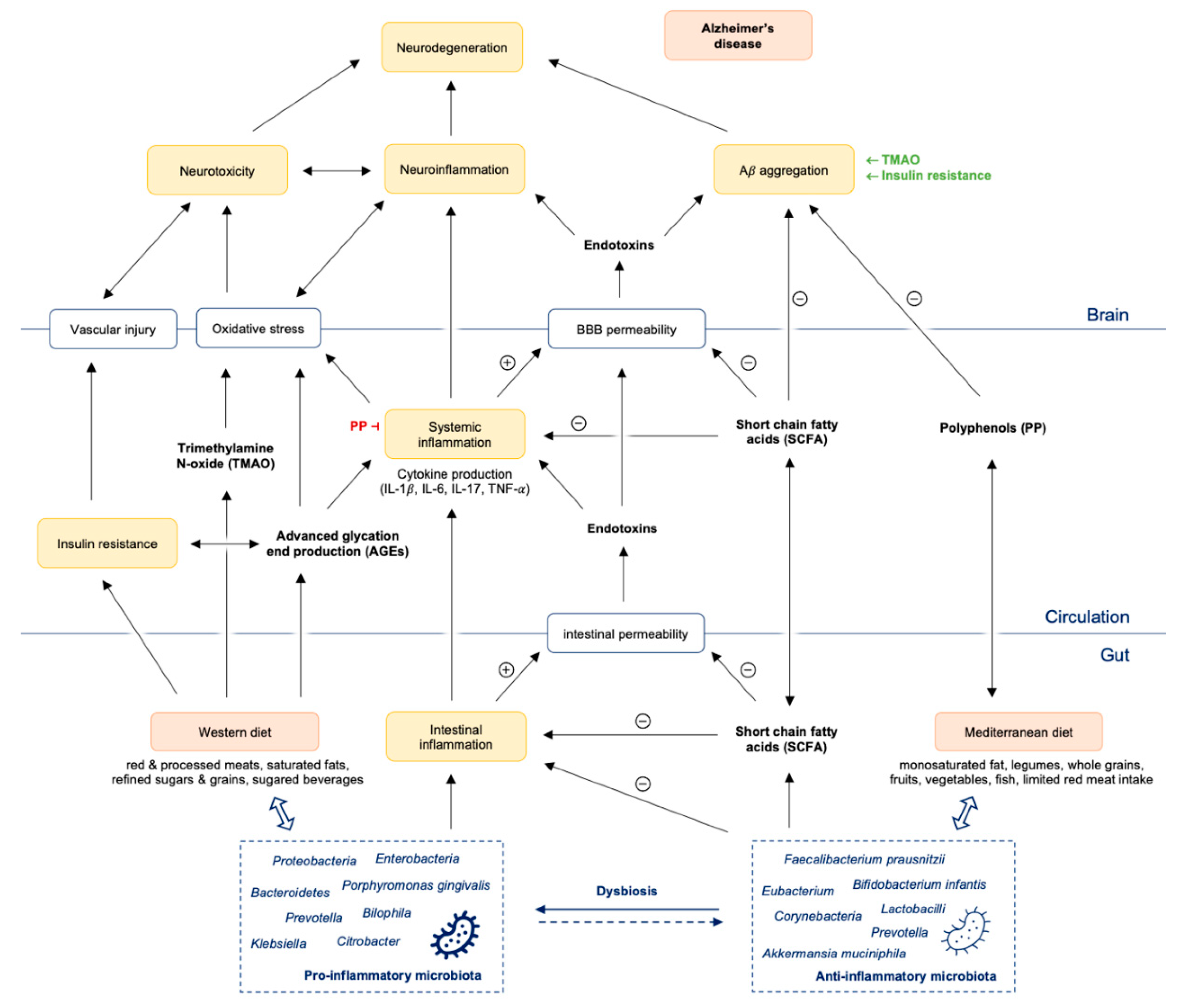 Nutrients 13 00361 g001
