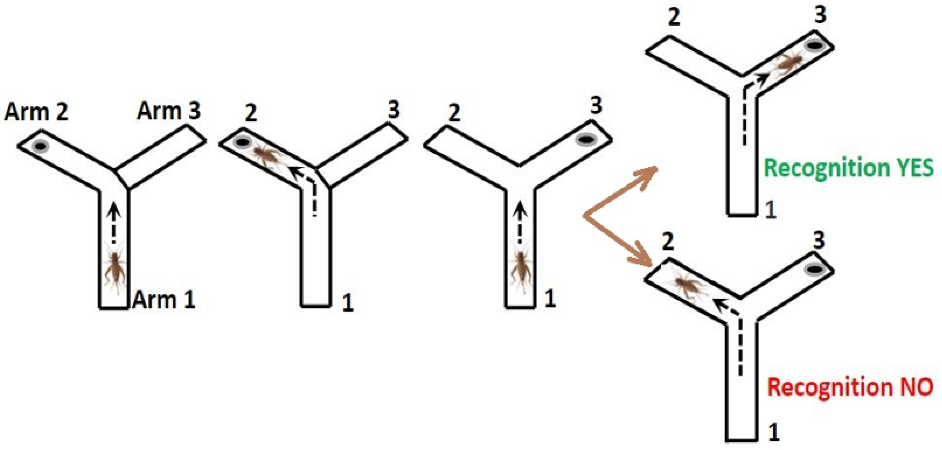Nutrients 13 00362 g003