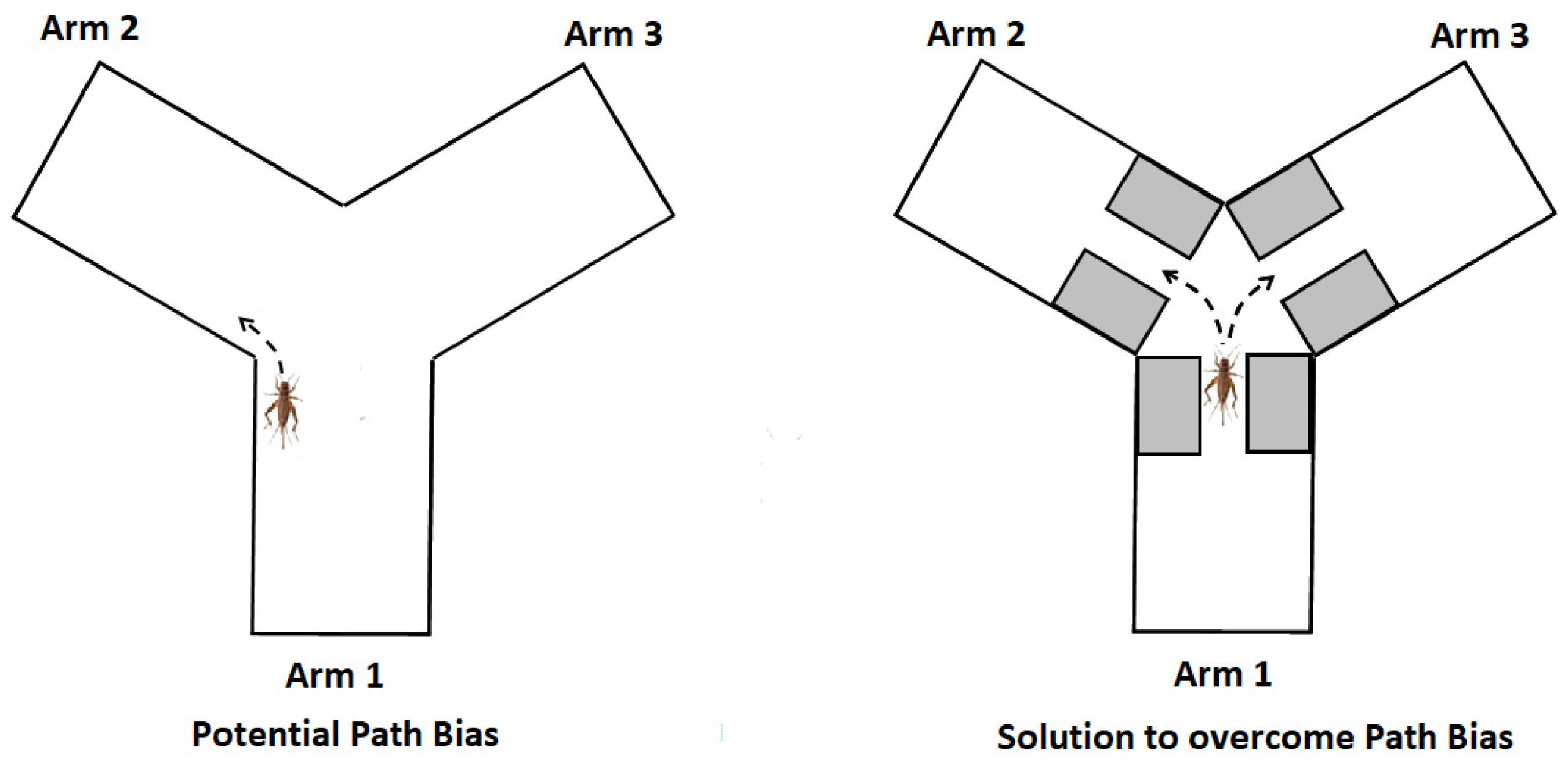 Nutrients 13 00362 g004