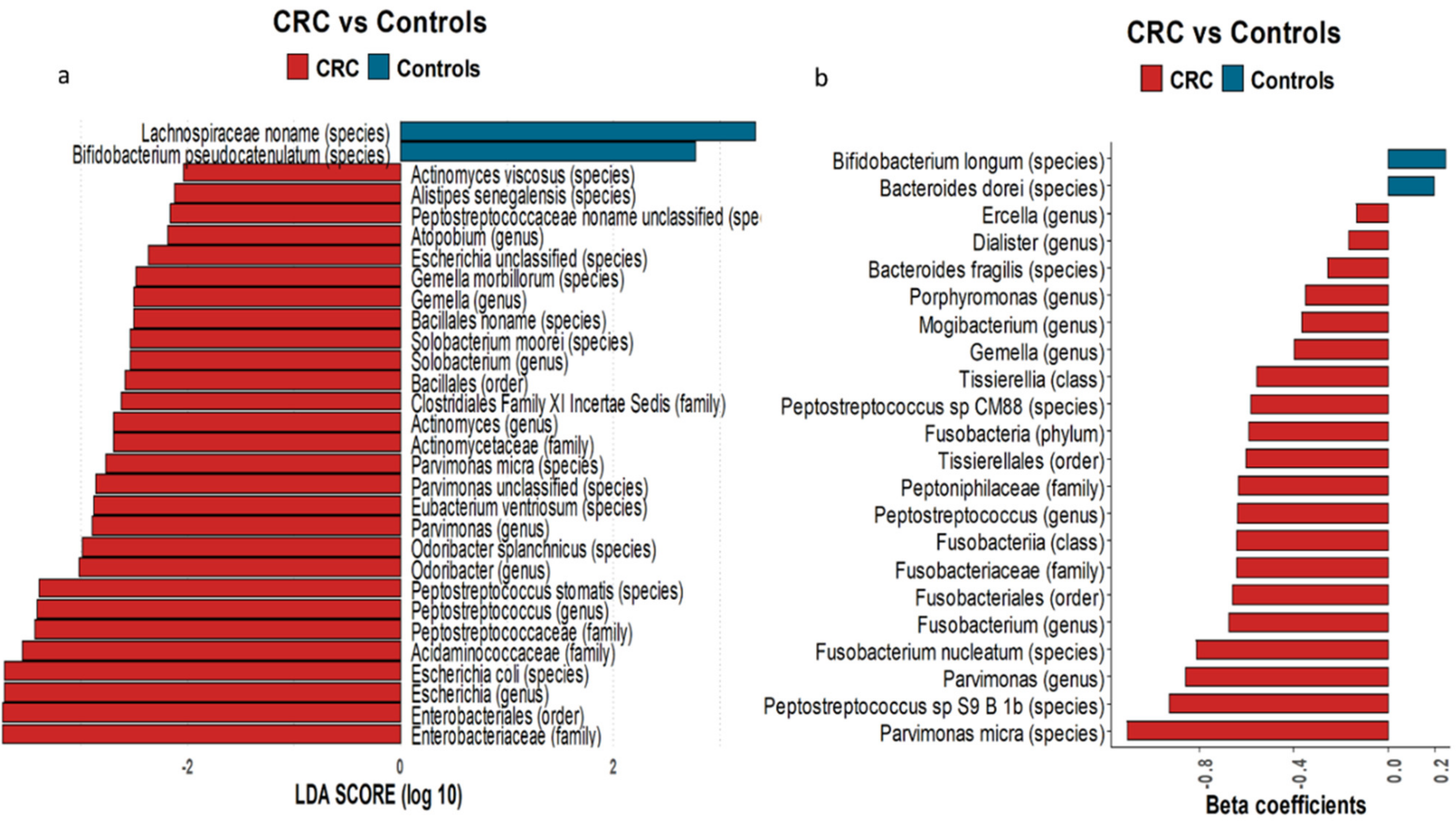 Nutrients 13 00363 g001