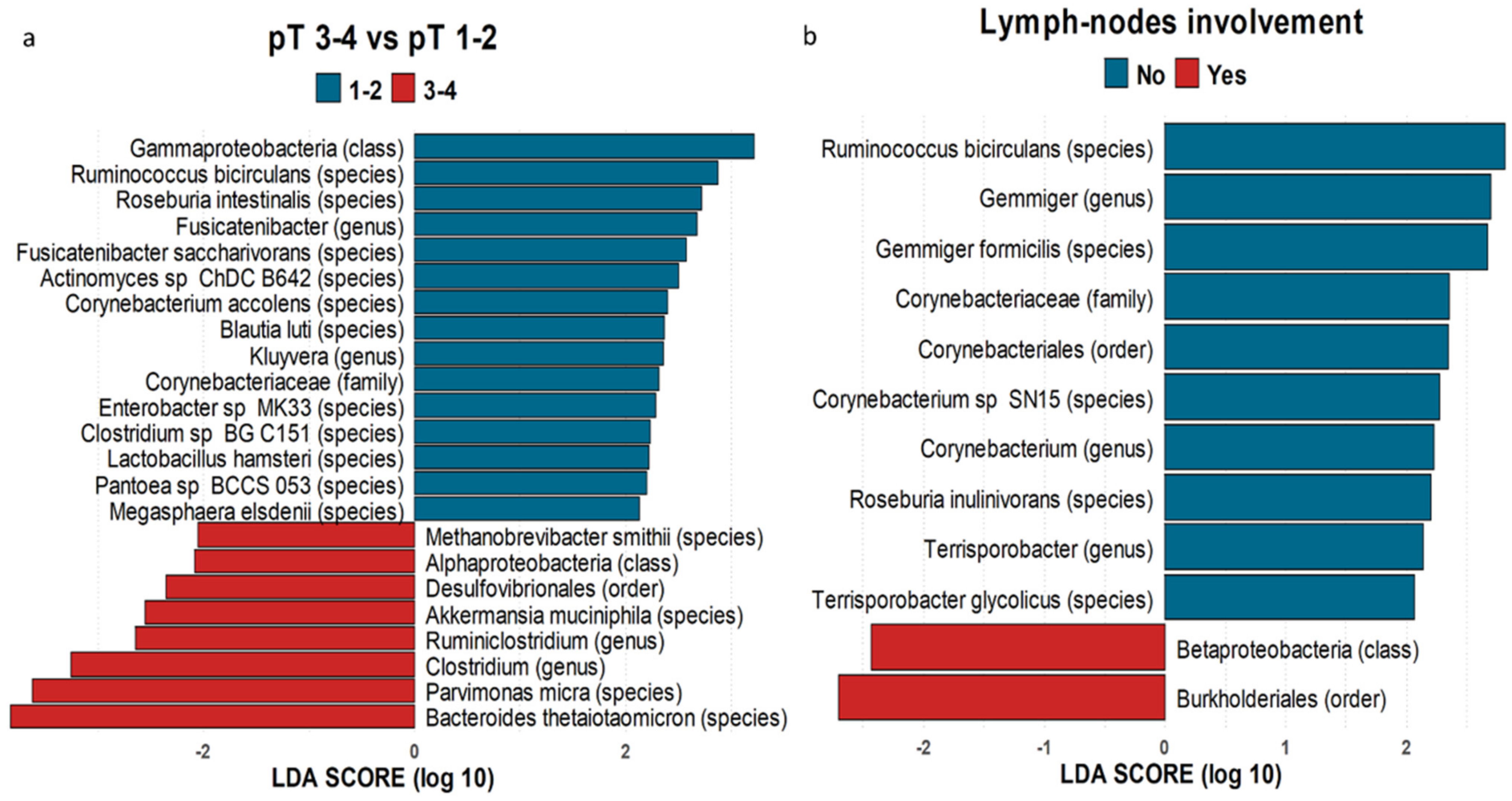 Nutrients 13 00363 g007
