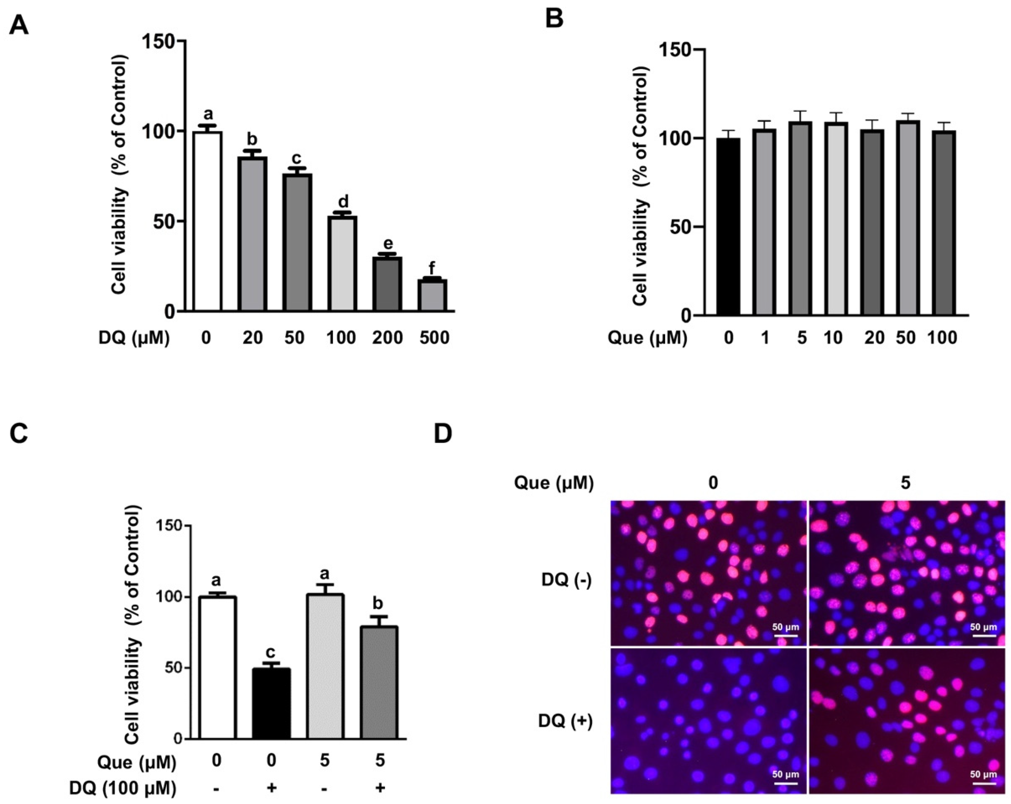 Nutrients 13 00375 g001