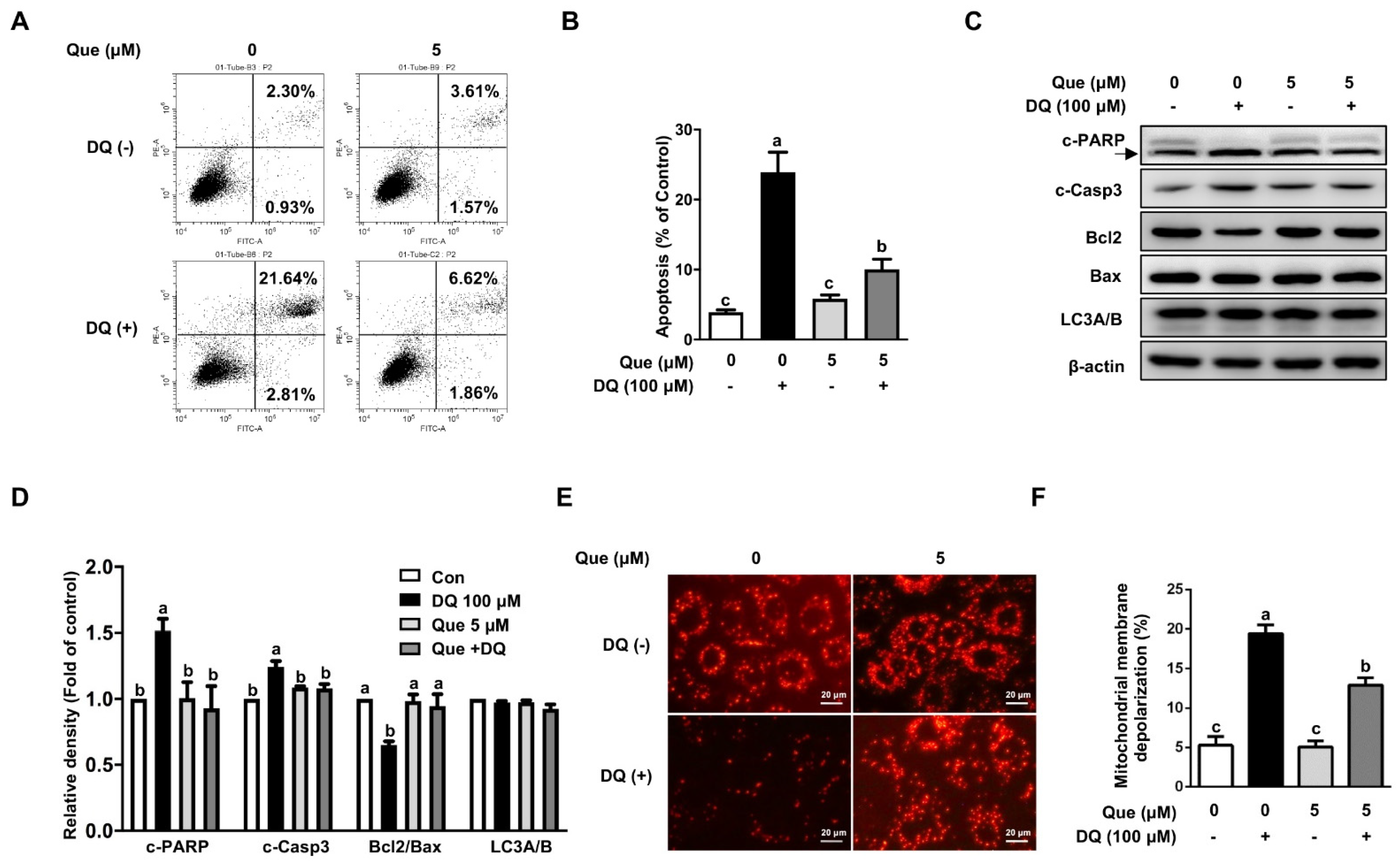 Nutrients 13 00375 g002
