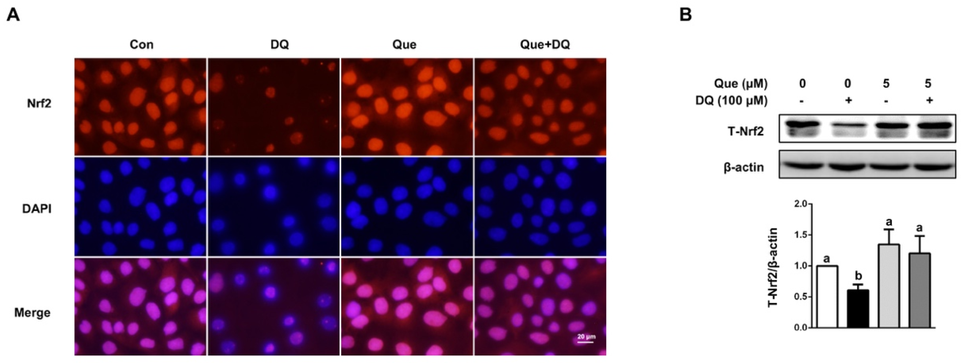 Nutrients 13 00375 g004