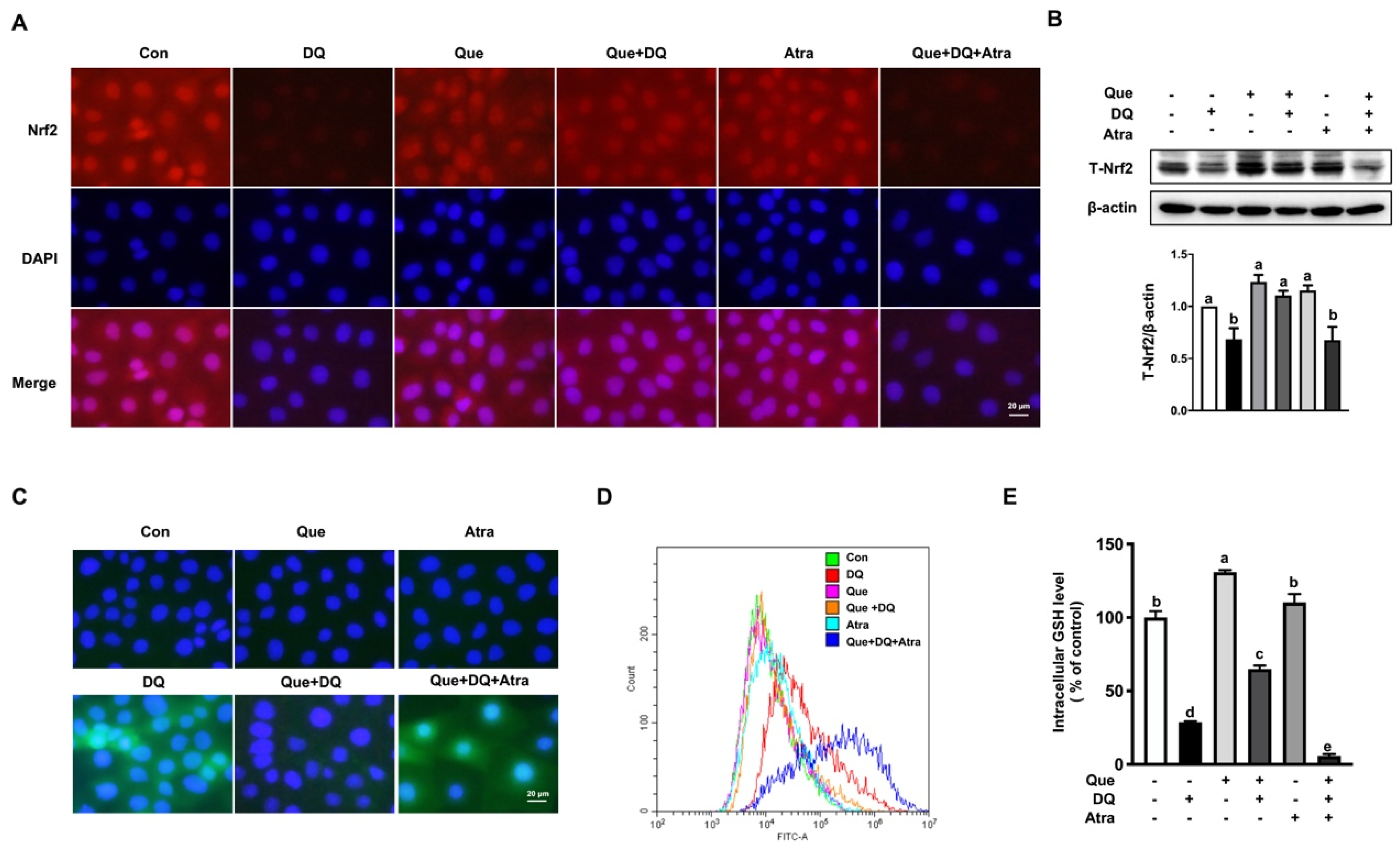 Nutrients 13 00375 g005
