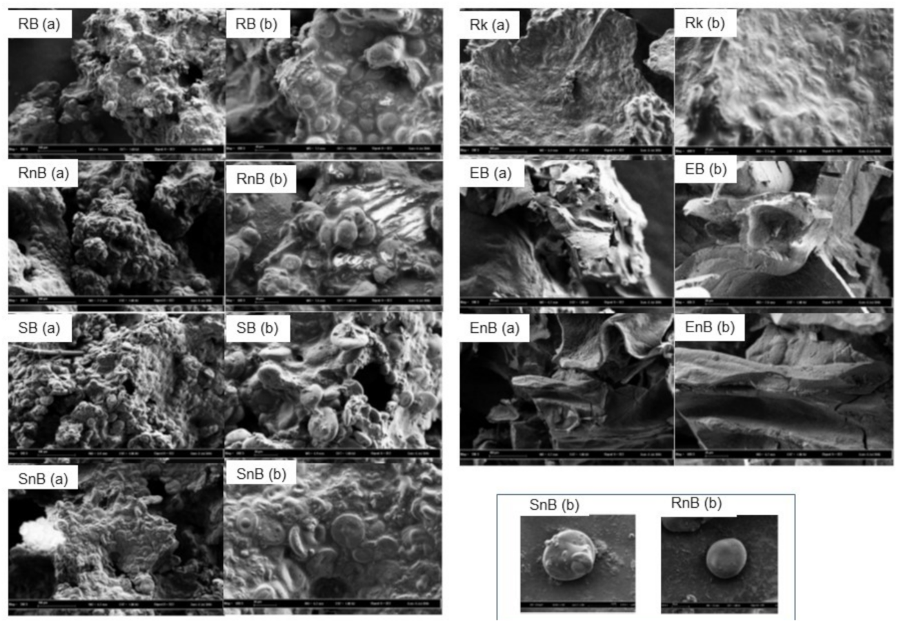 Nutrients 13 00381 g003