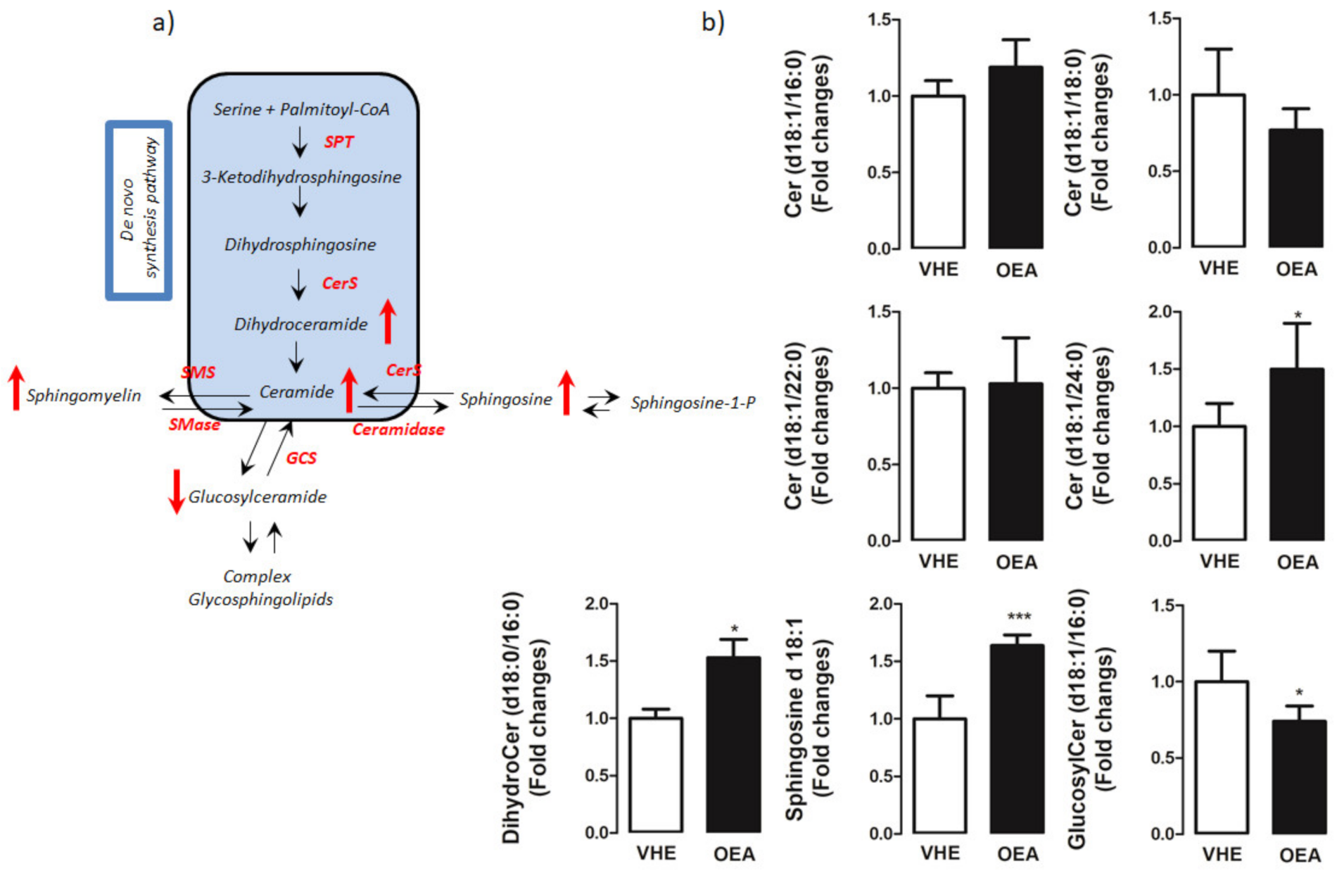 Nutrients 13 00394 g003