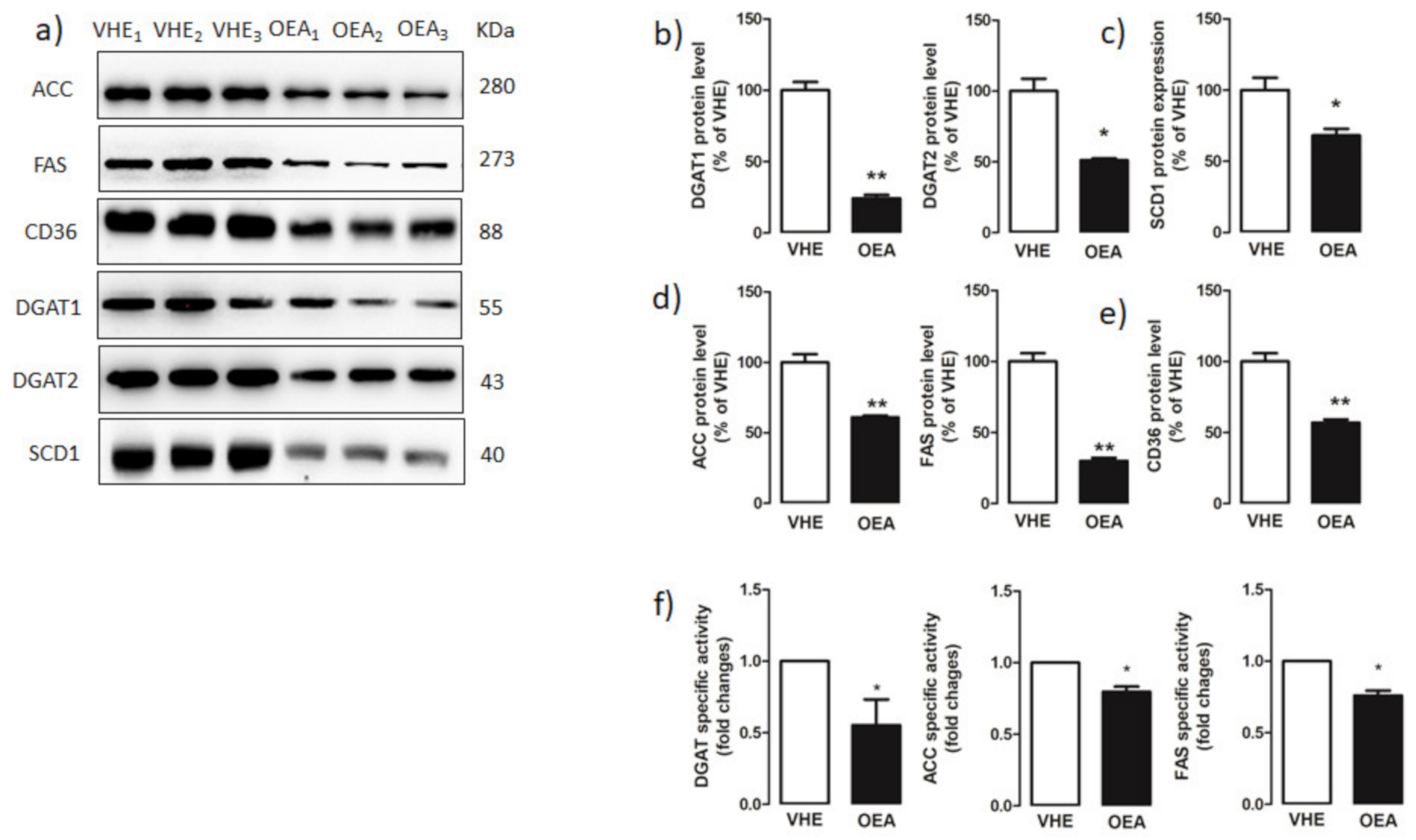 Nutrients 13 00394 g004