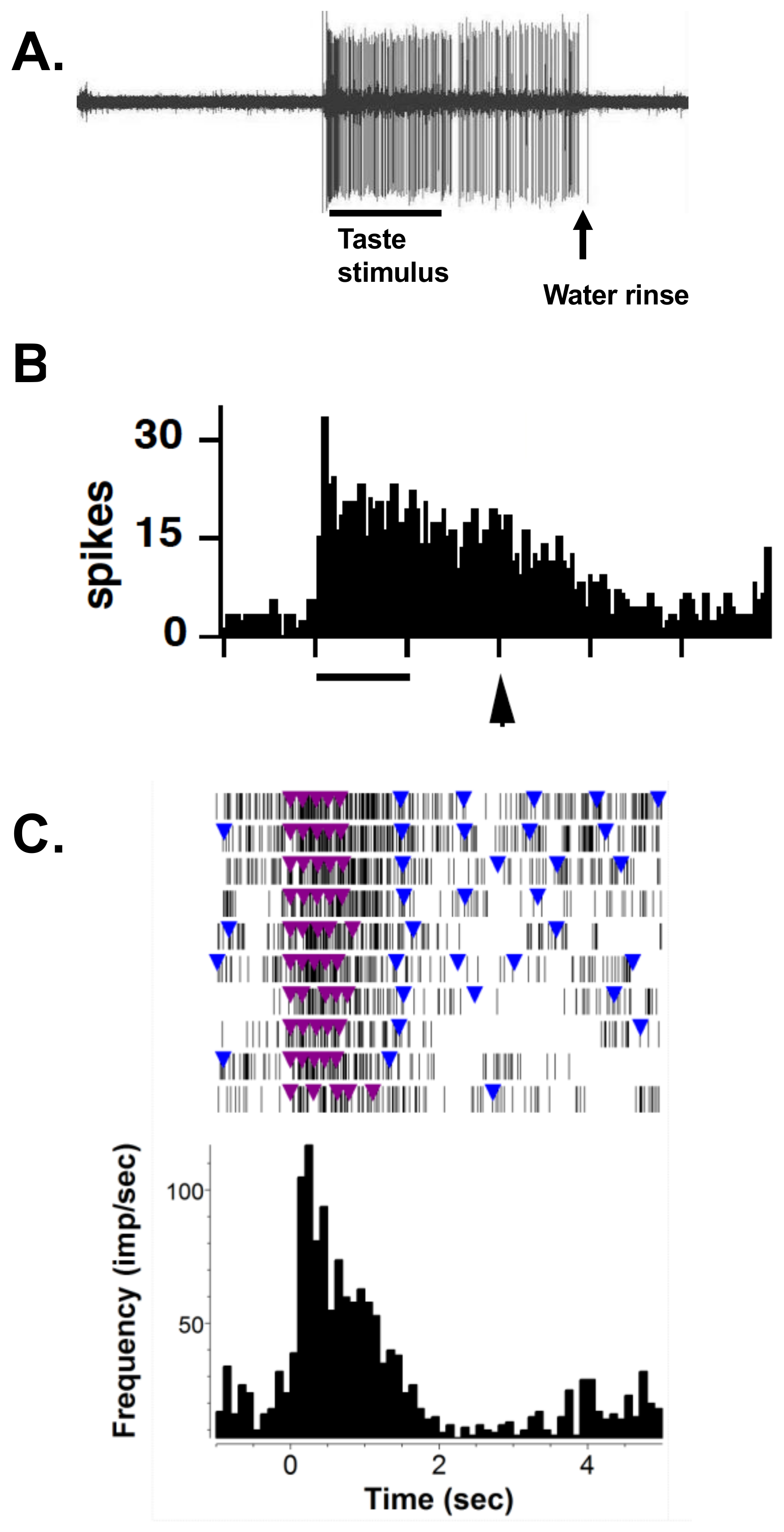 Nutrients 13 00398 g001