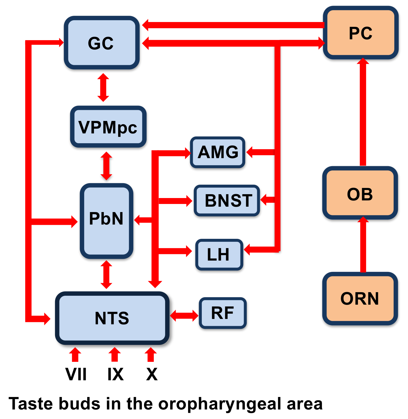 Nutrients 13 00398 g002