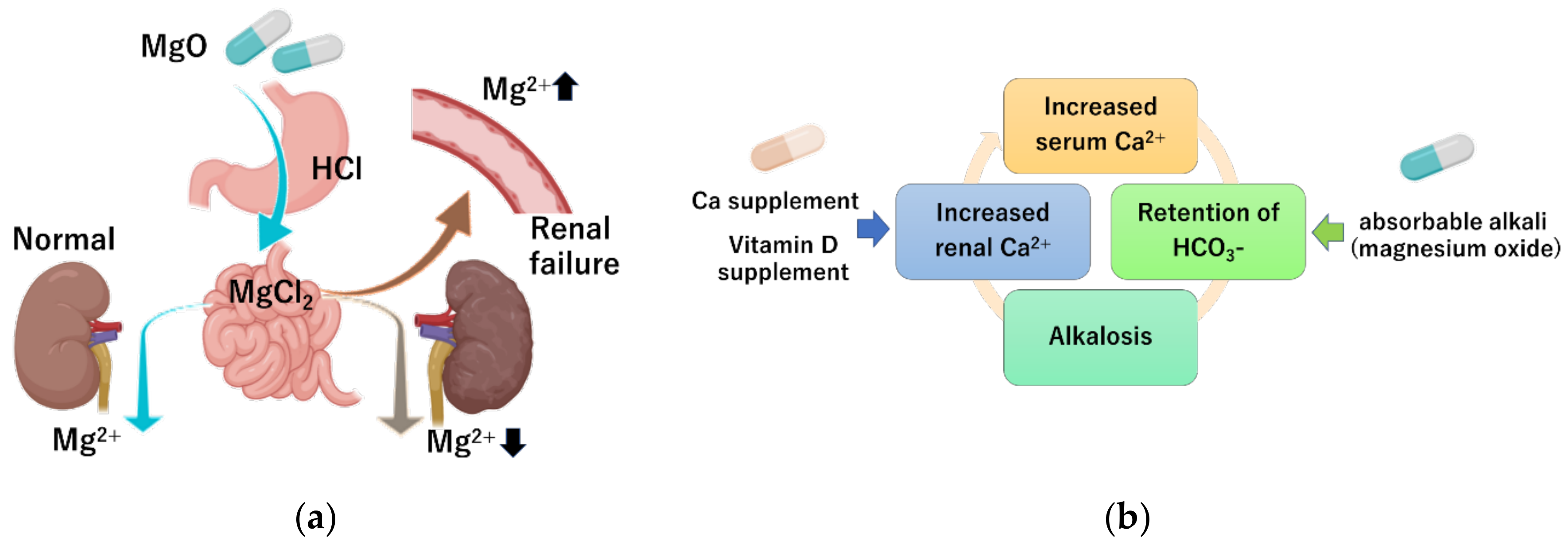 Nutrients 13 00421 g002 Nutrients 13 00421 g002