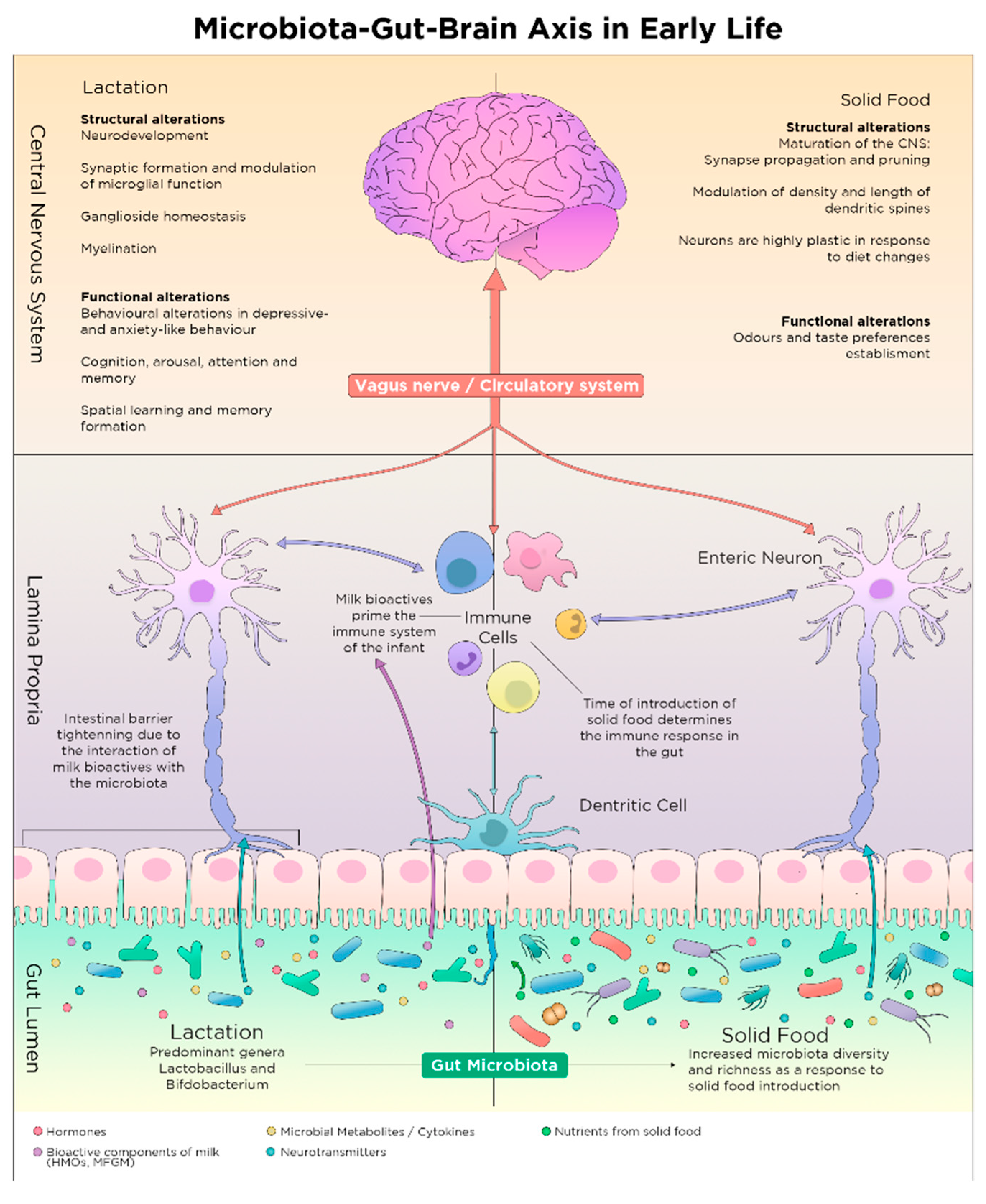 Nutrients 13 00423 g002