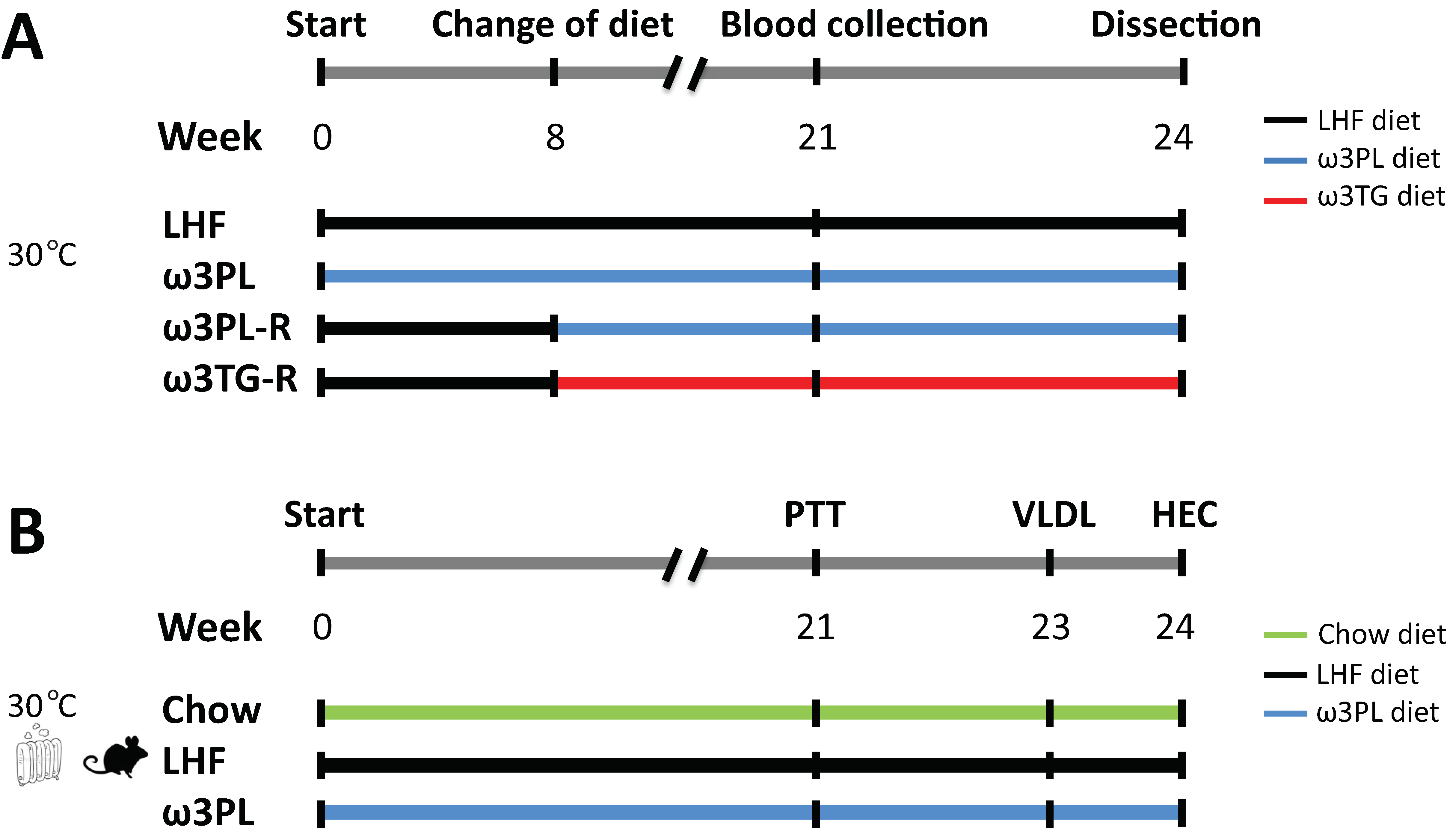 Nutrients 13 00437 g001