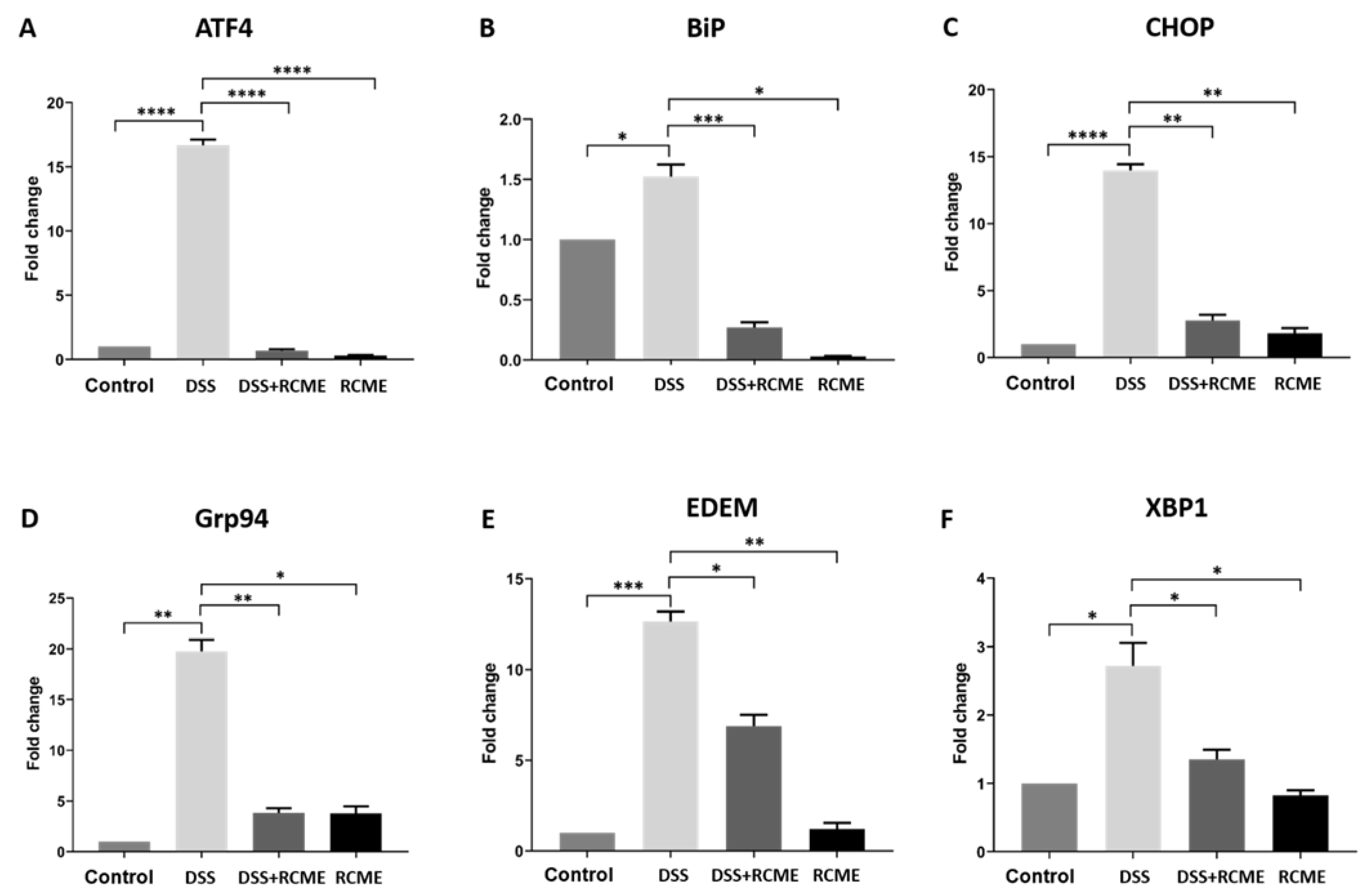 Nutrients 13 00441 g002