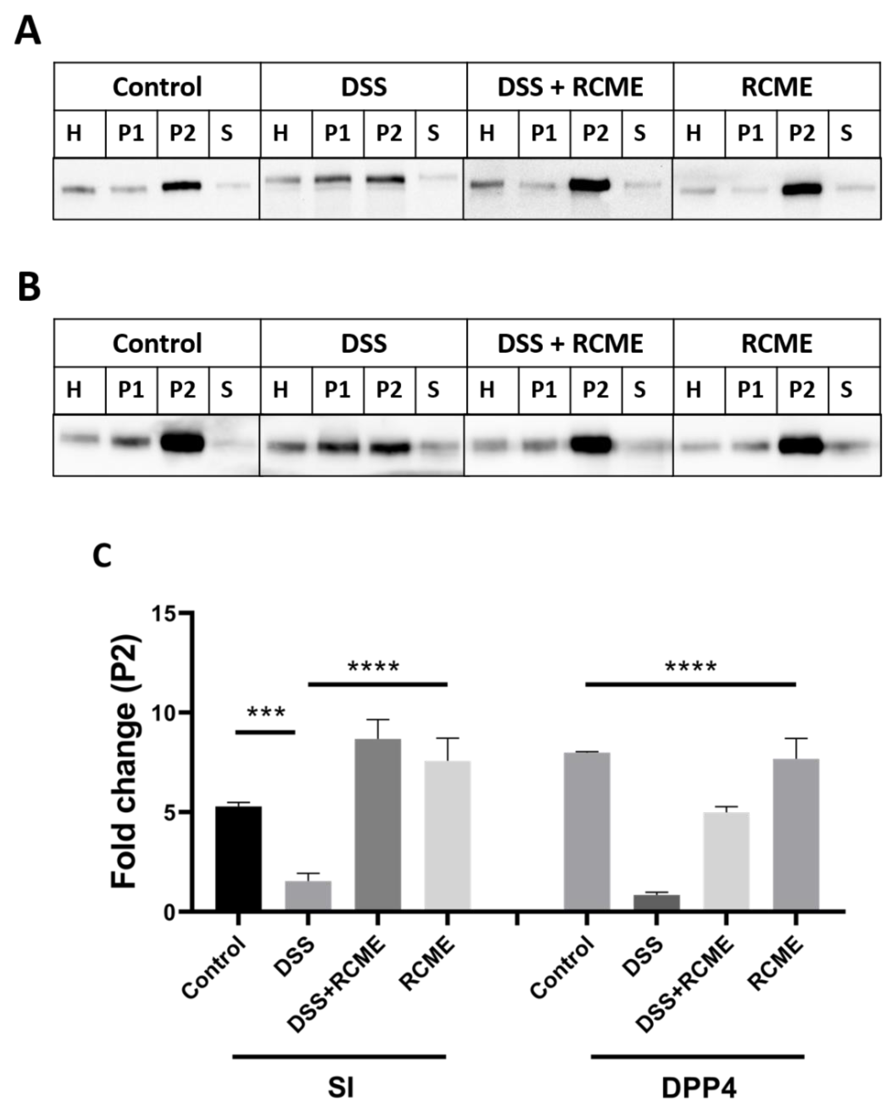 Nutrients 13 00441 g004