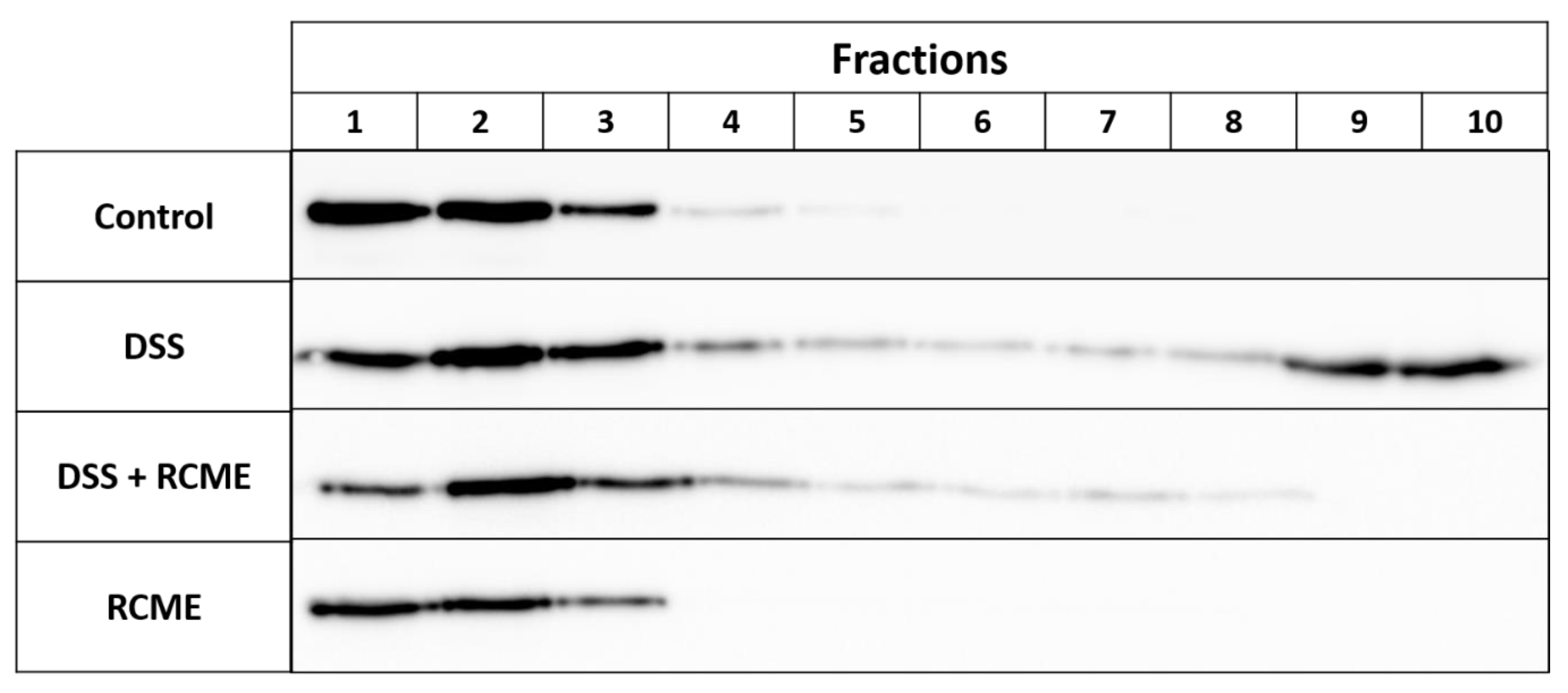 Nutrients 13 00441 g005
