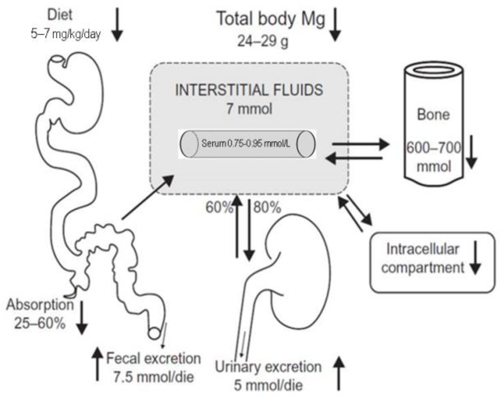 Nutrients 13 00463 g001