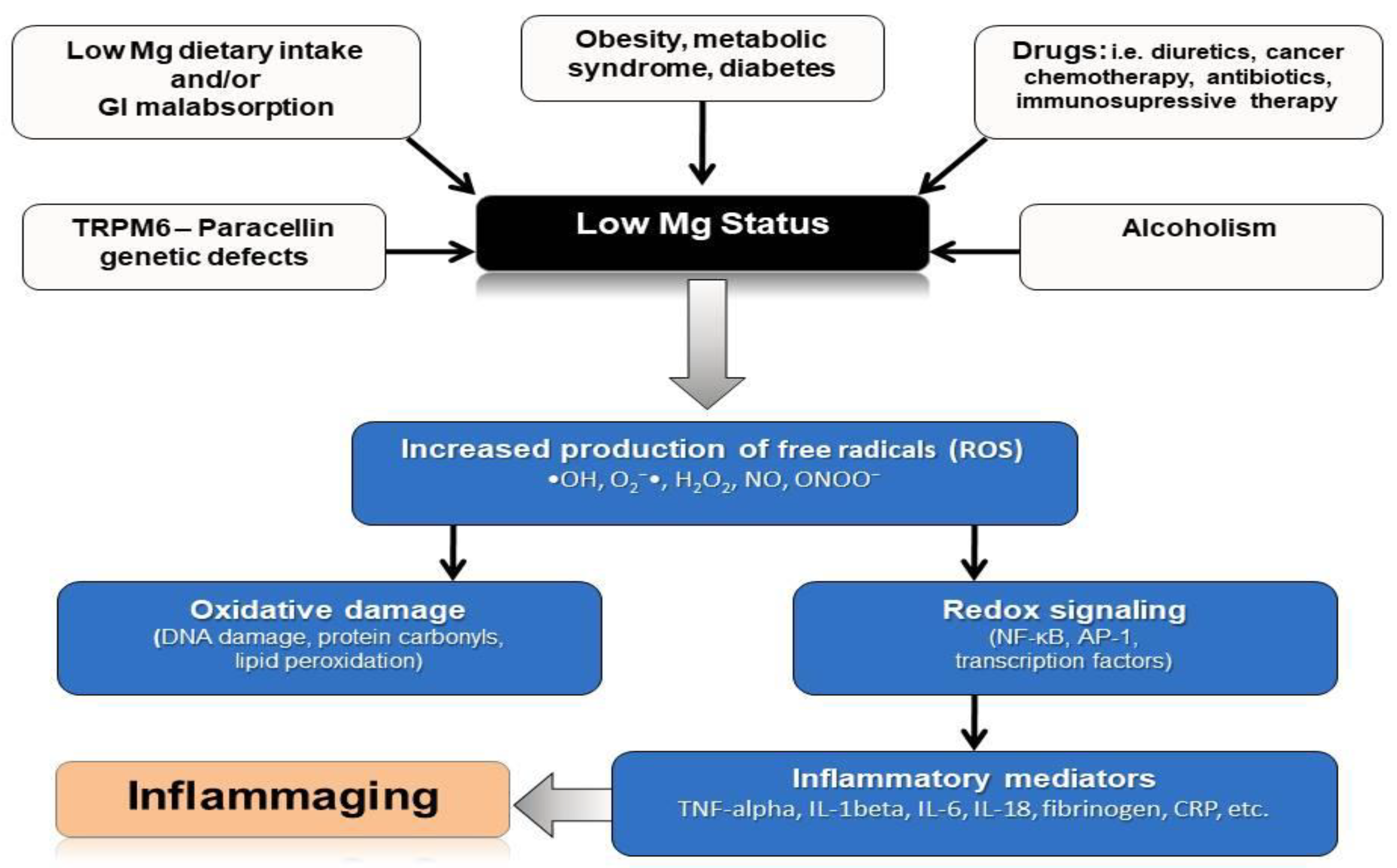 Nutrients 13 00463 g002