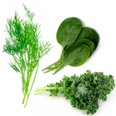 Nutrients 13 00464 i004 Nutrients 13 00464 i004