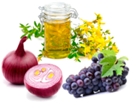 Nutrients 13 00464 i006 Nutrients 13 00464 i006