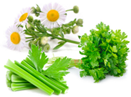 Nutrients 13 00464 i008 Nutrients 13 00464 i008