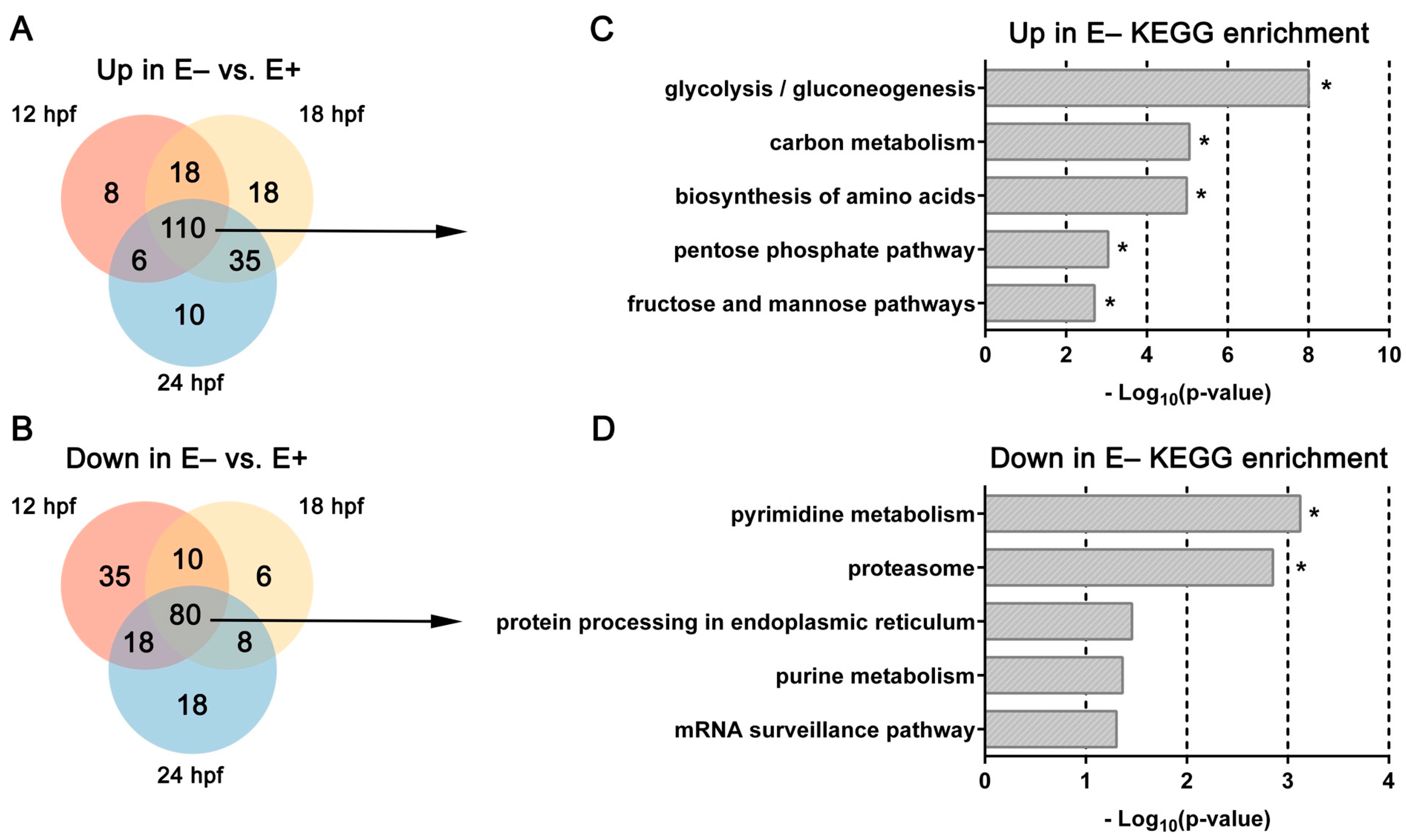 Nutrients 13 00468 g002