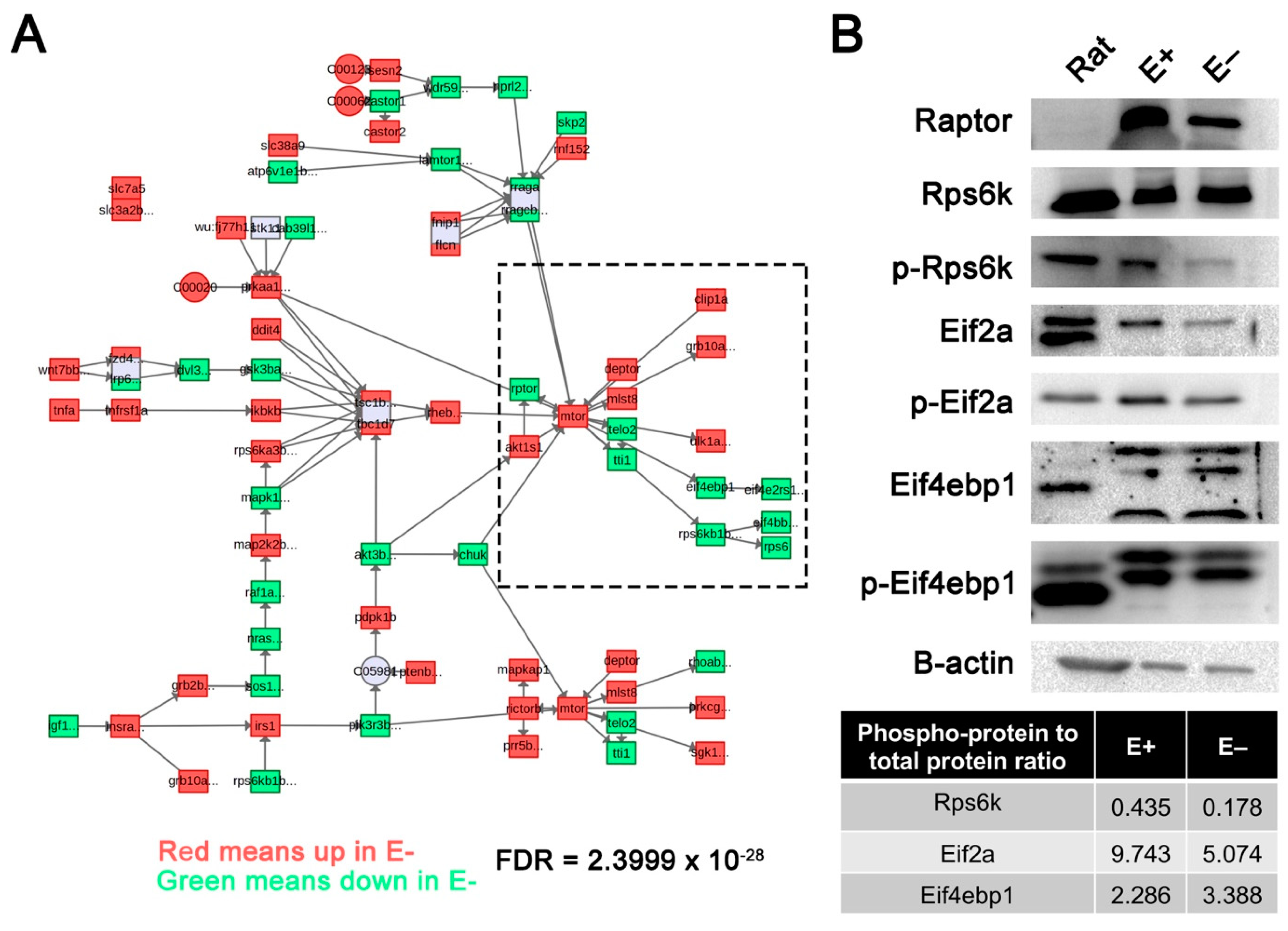 Nutrients 13 00468 g005