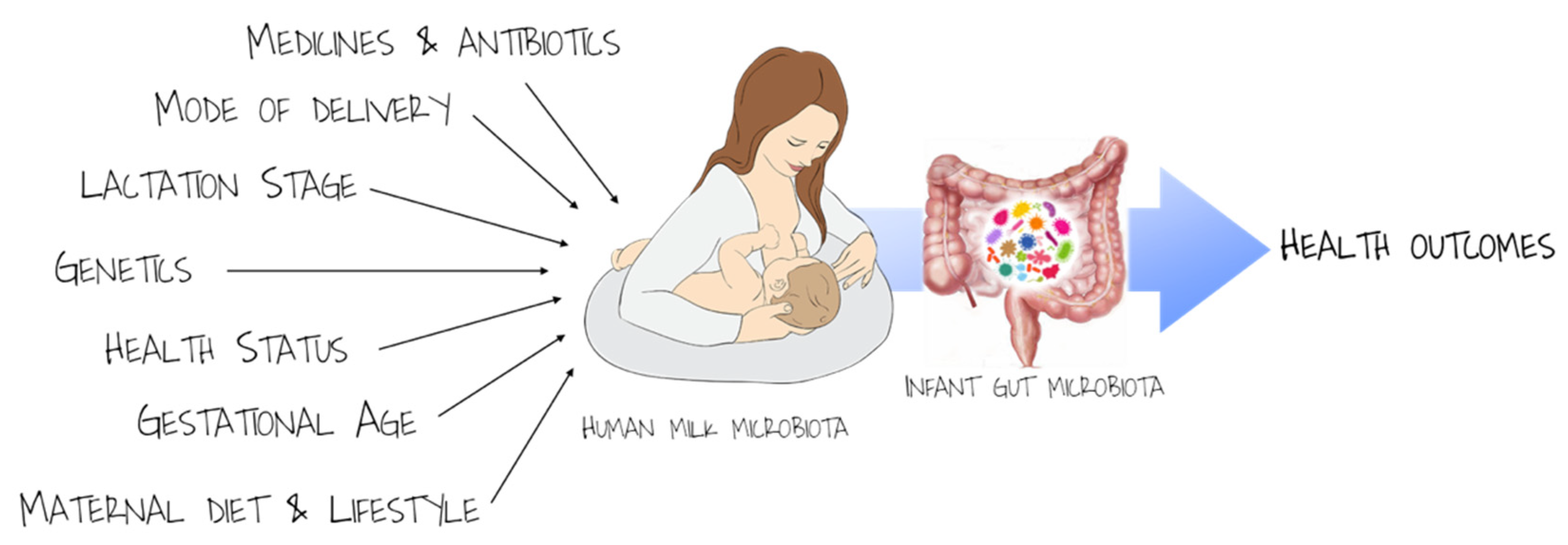 Nutrients 13 00486 g001