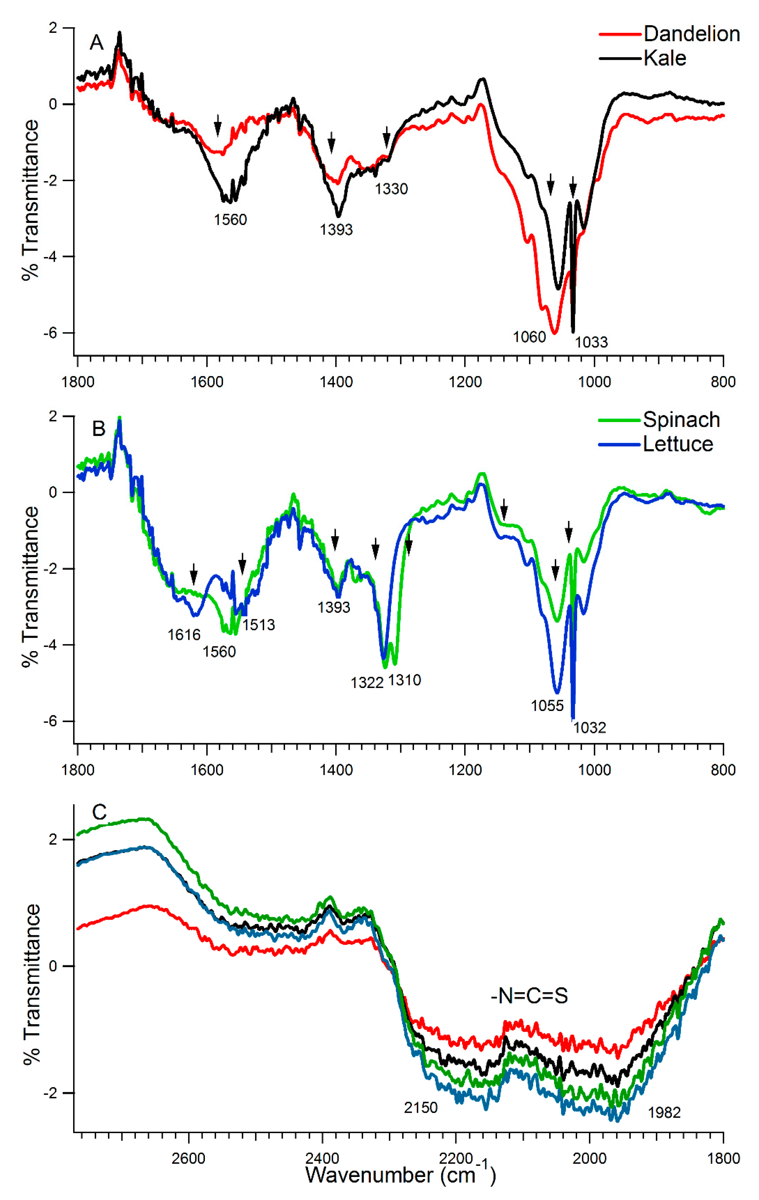 Nutrients 13 00488 g008 Nutrients 13 00488 g008