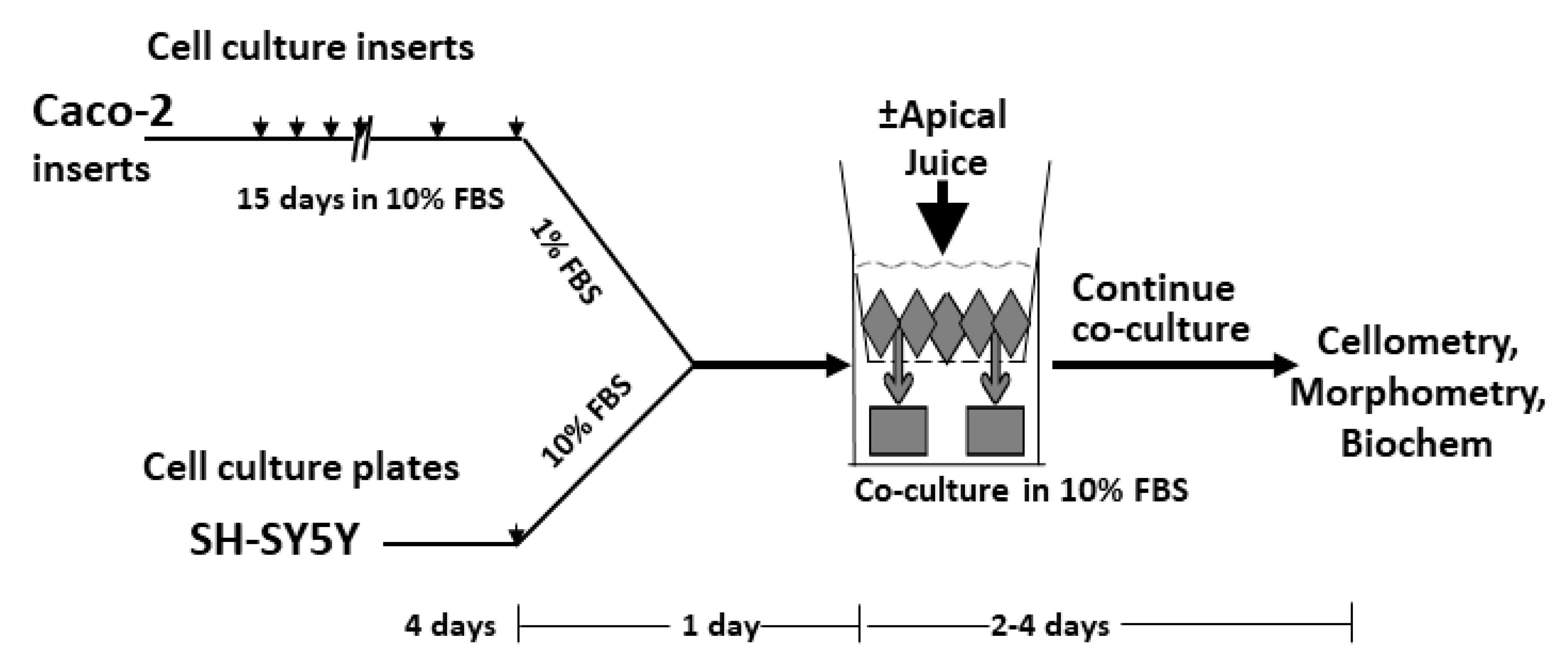 Nutrients 13 00488 sch002 Nutrients 13 00488 sch002