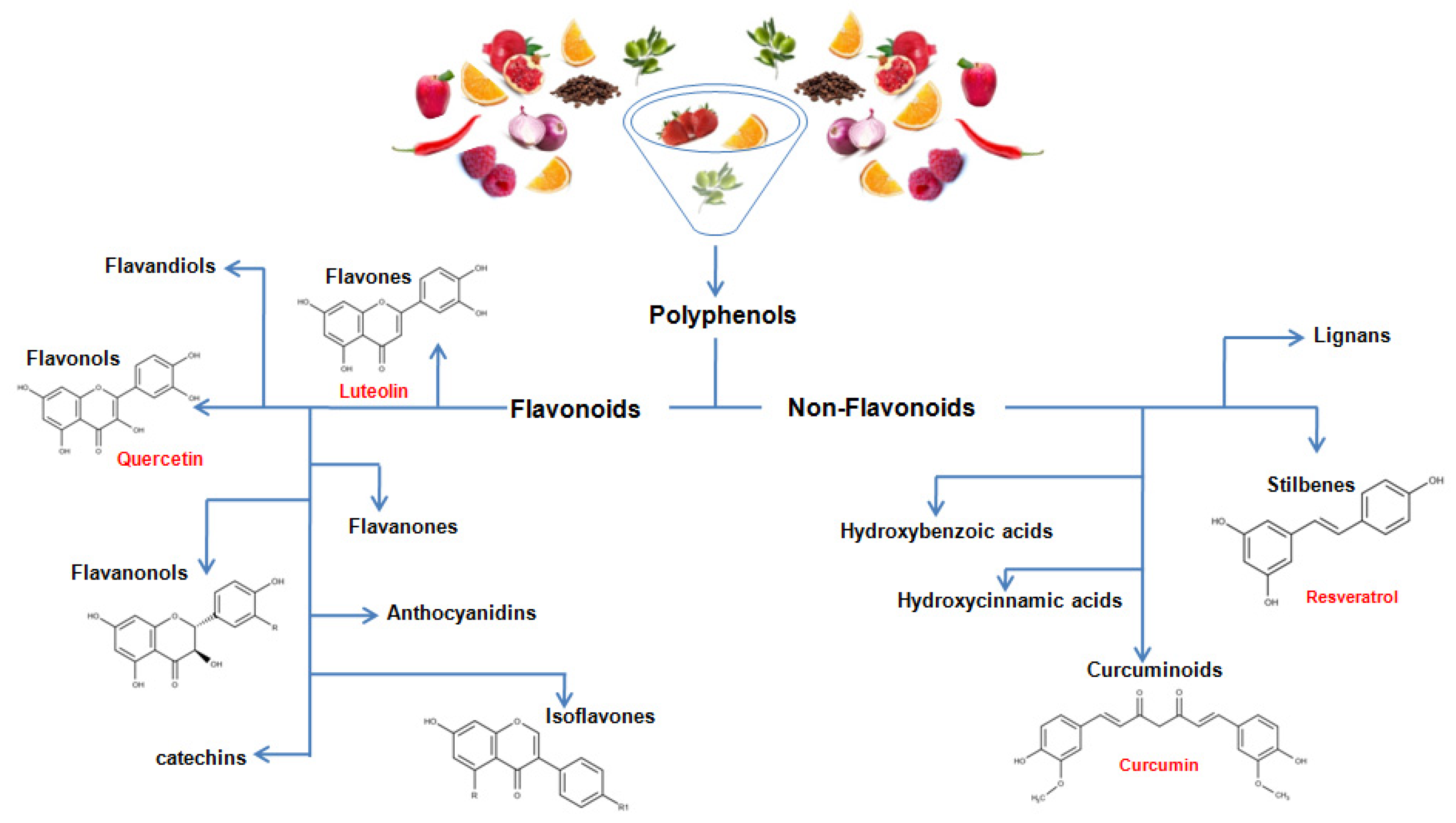 Nutrients 13 00494 g002