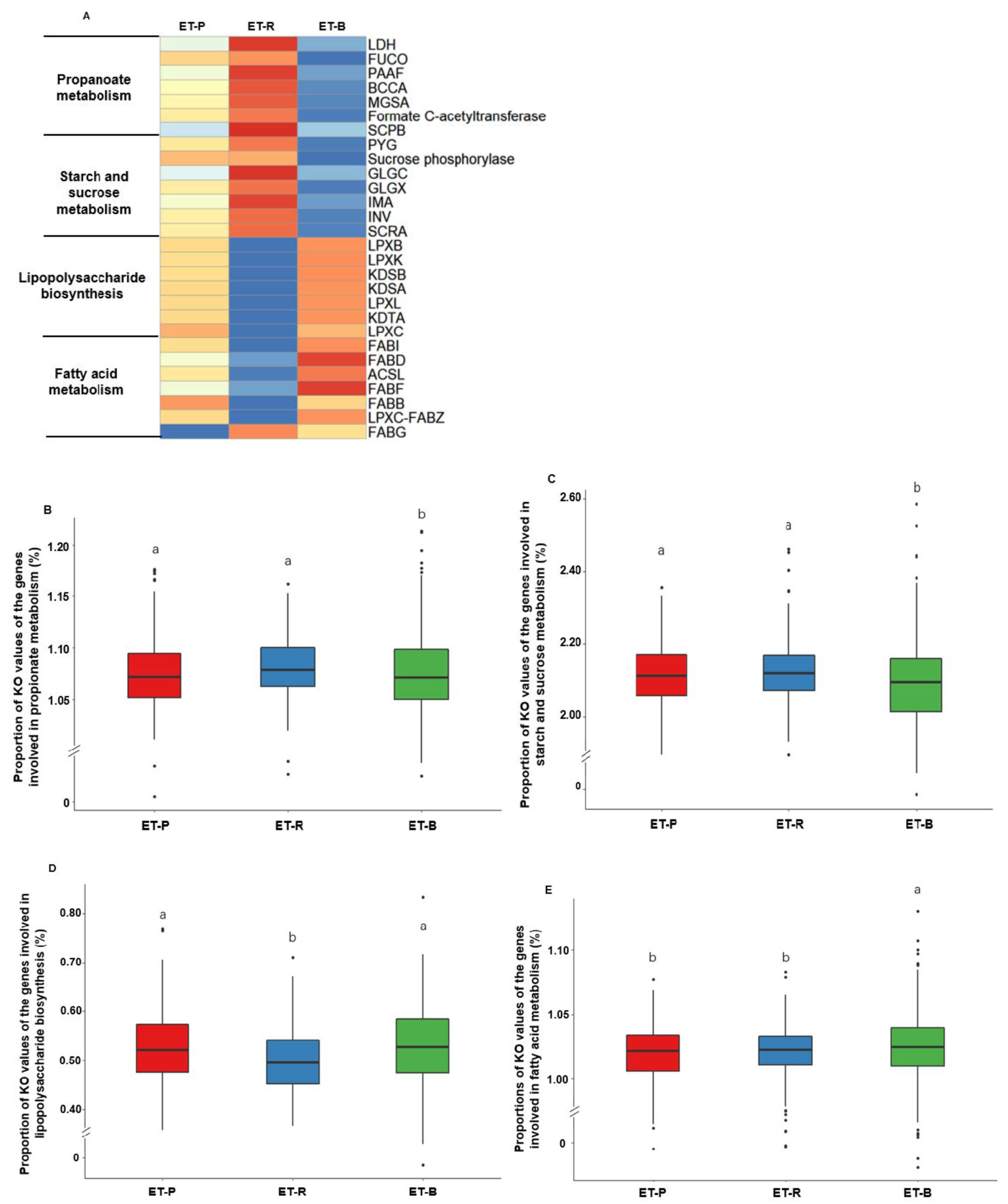 Nutrients 13 00495 g006