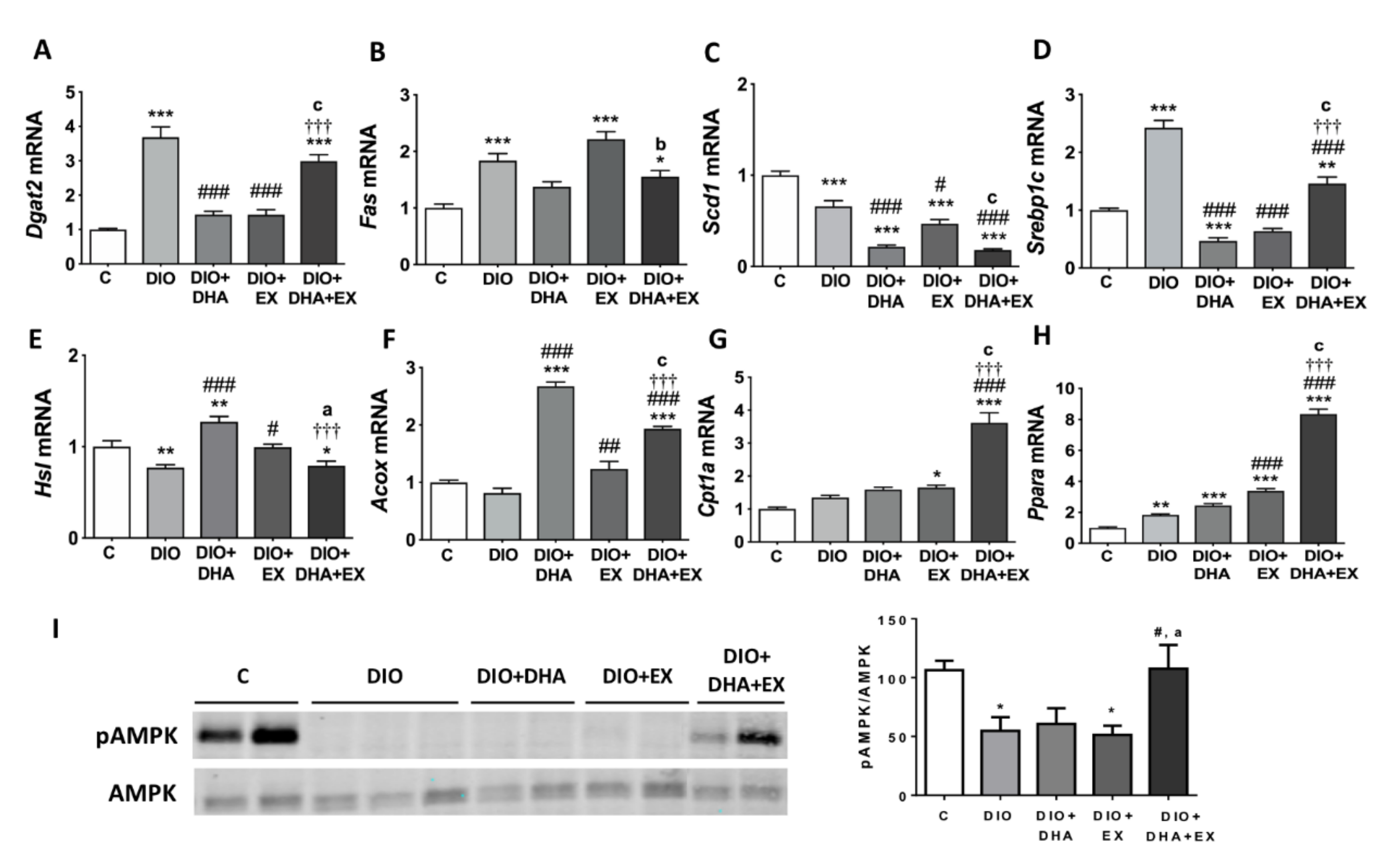 Nutrients 13 00501 g002