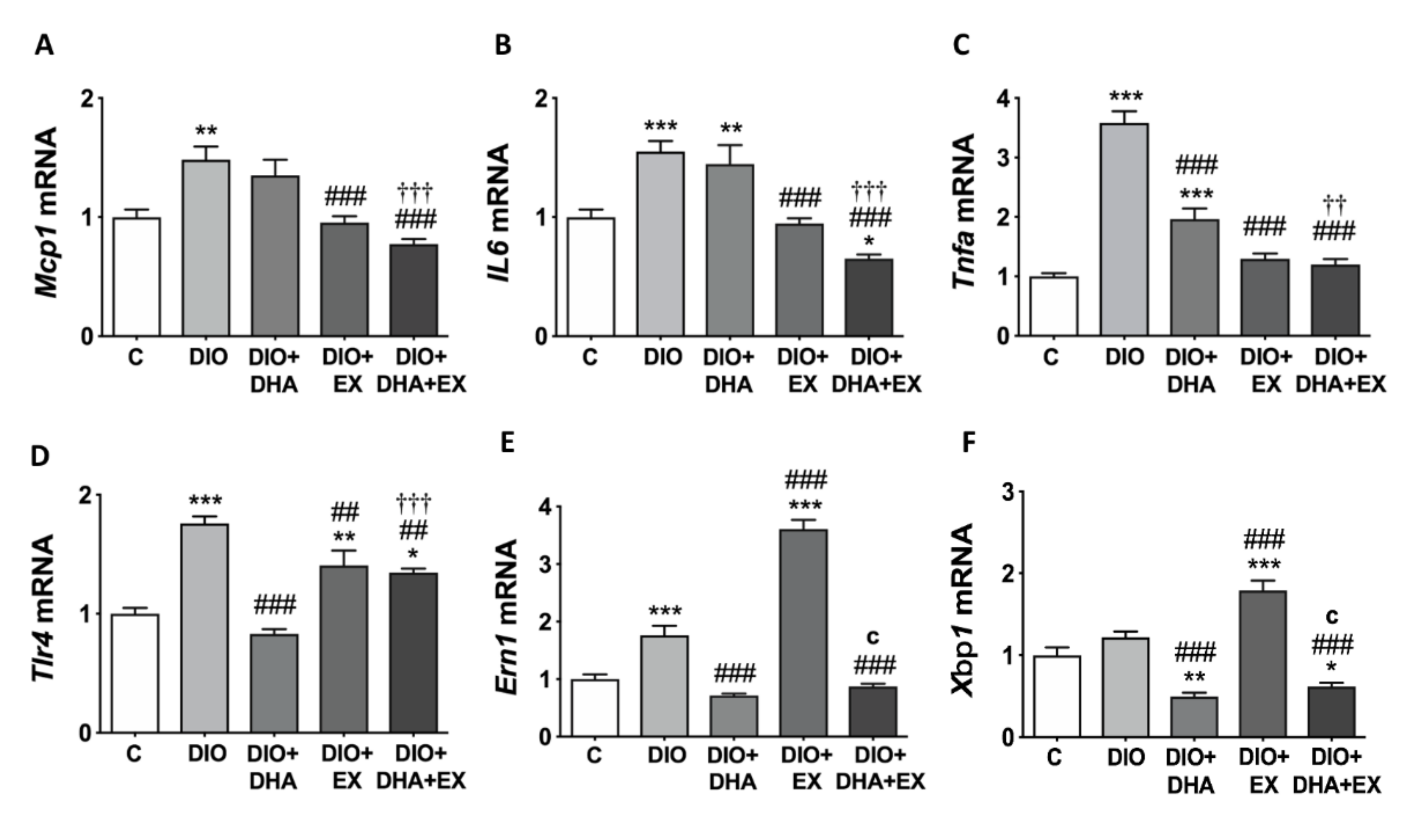 Nutrients 13 00501 g003