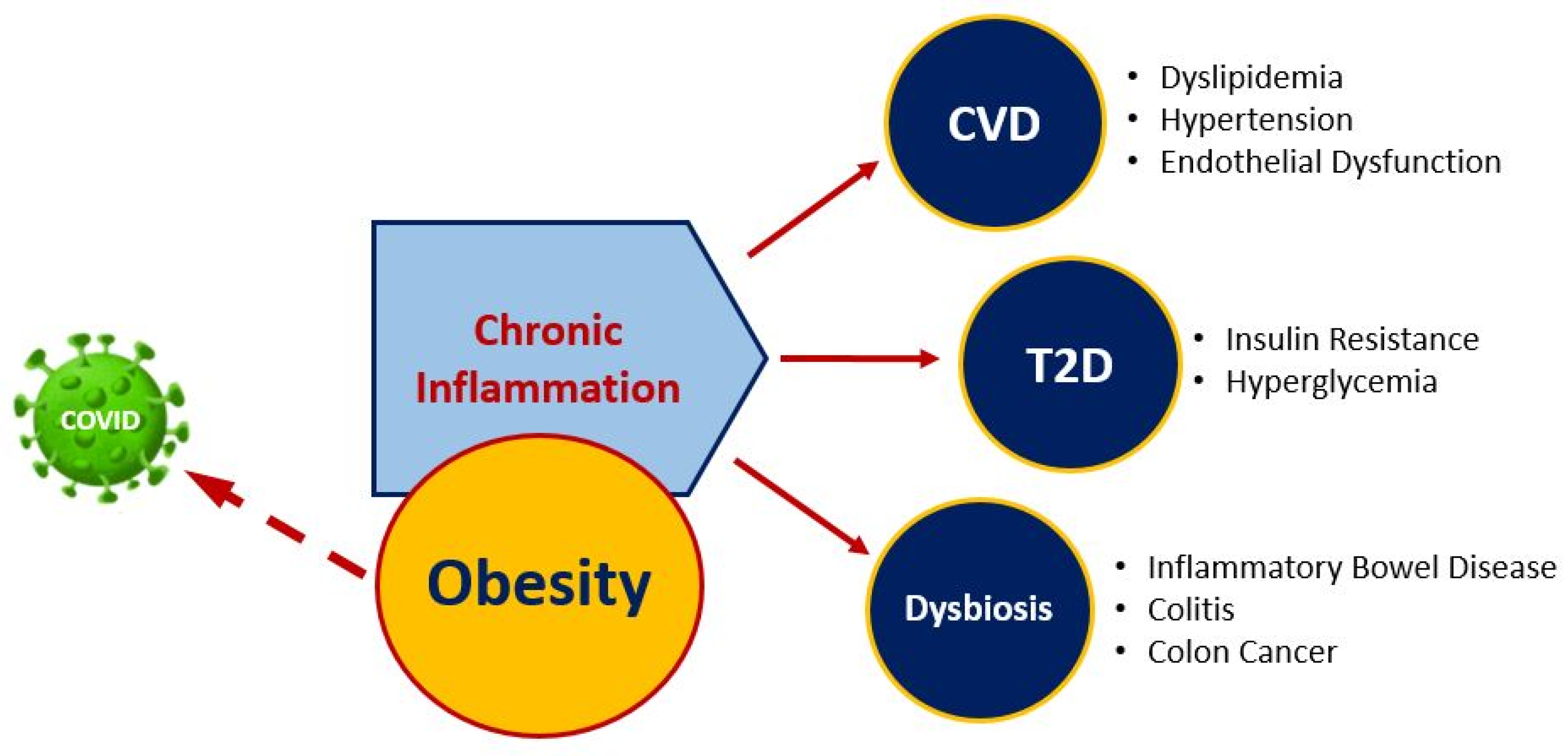 Nutrients 13 00519 g002
