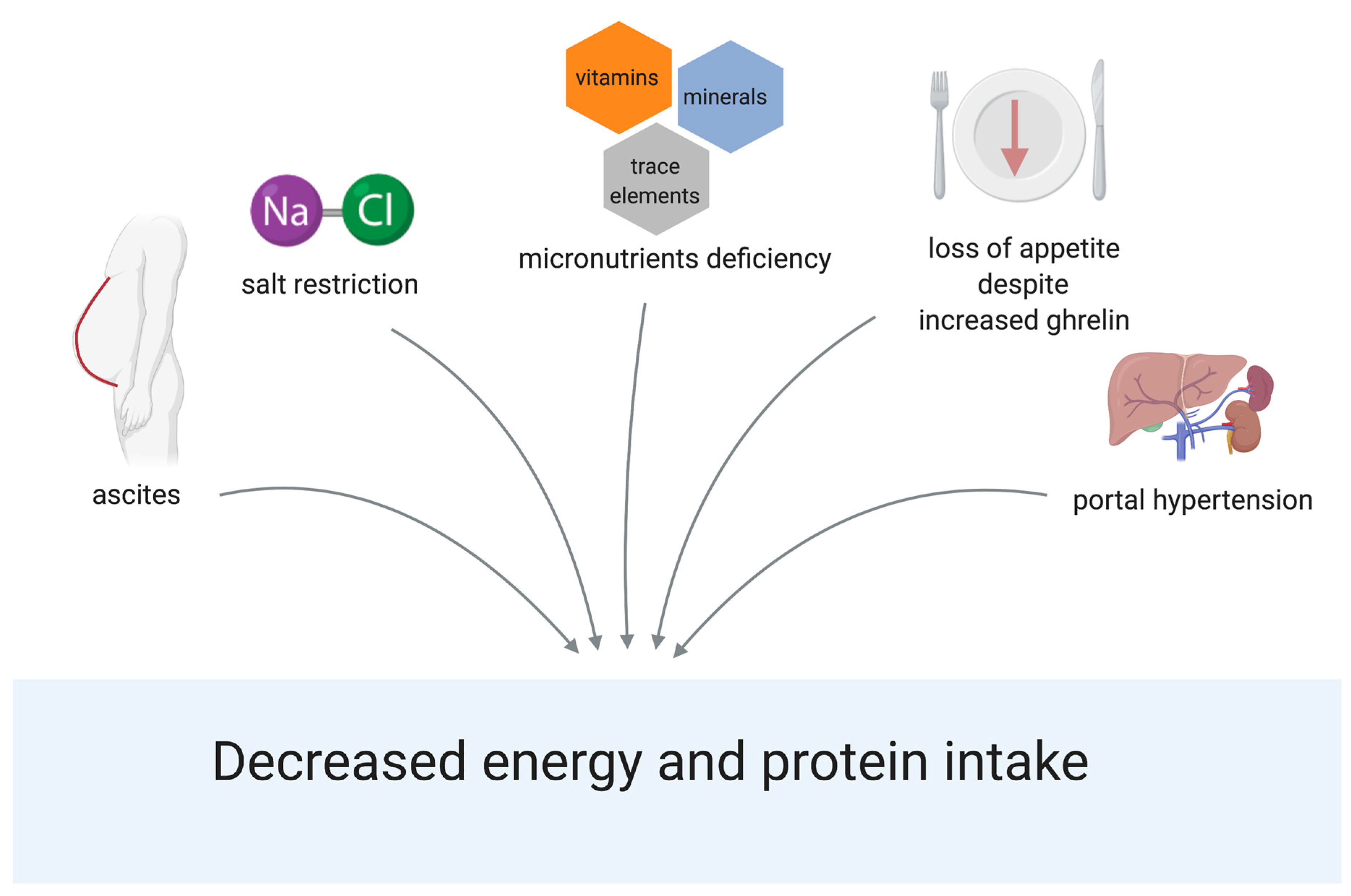 Nutrients 13 00540 g002