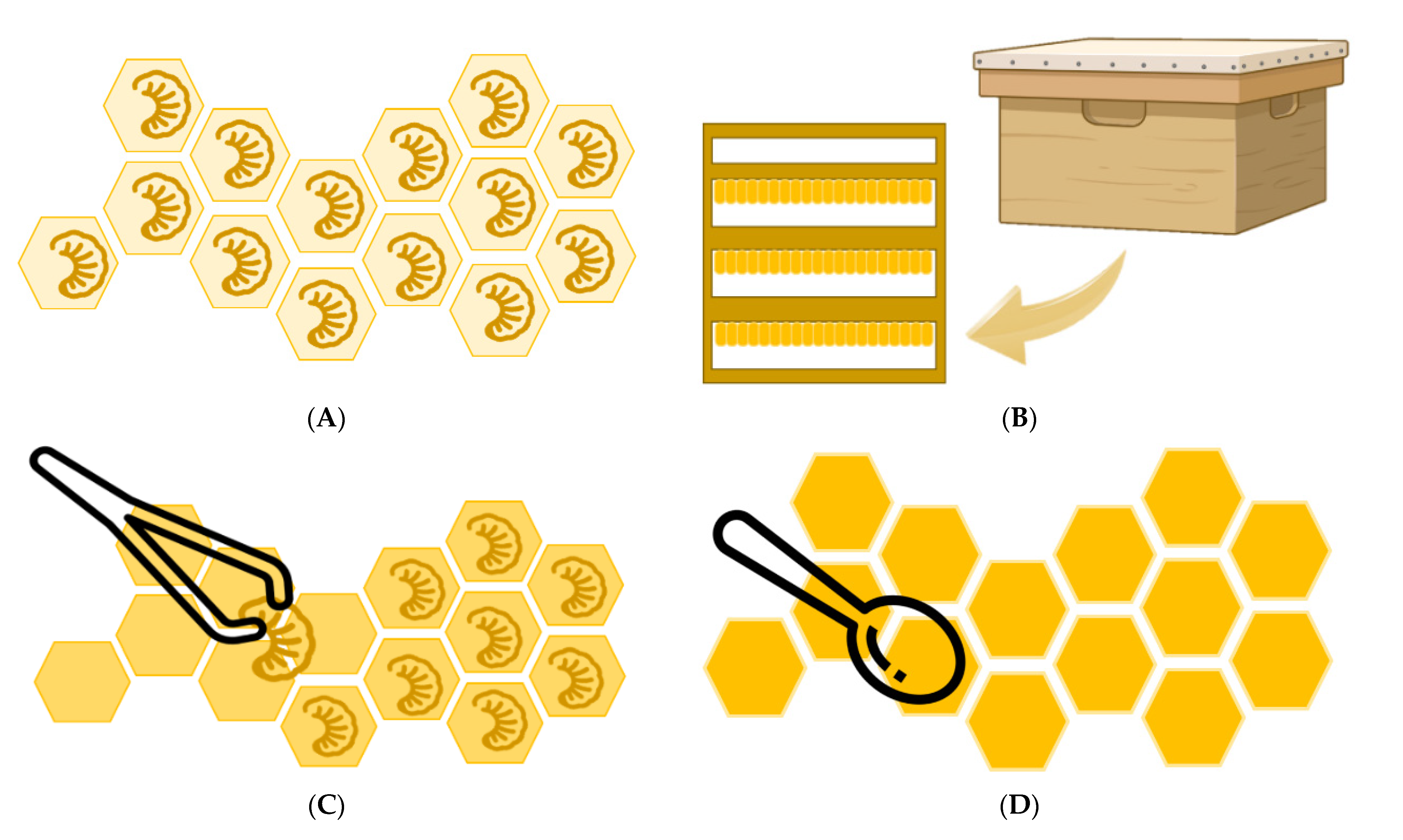 Nutrients 13 00543 g001 Nutrients 13 00543 g001