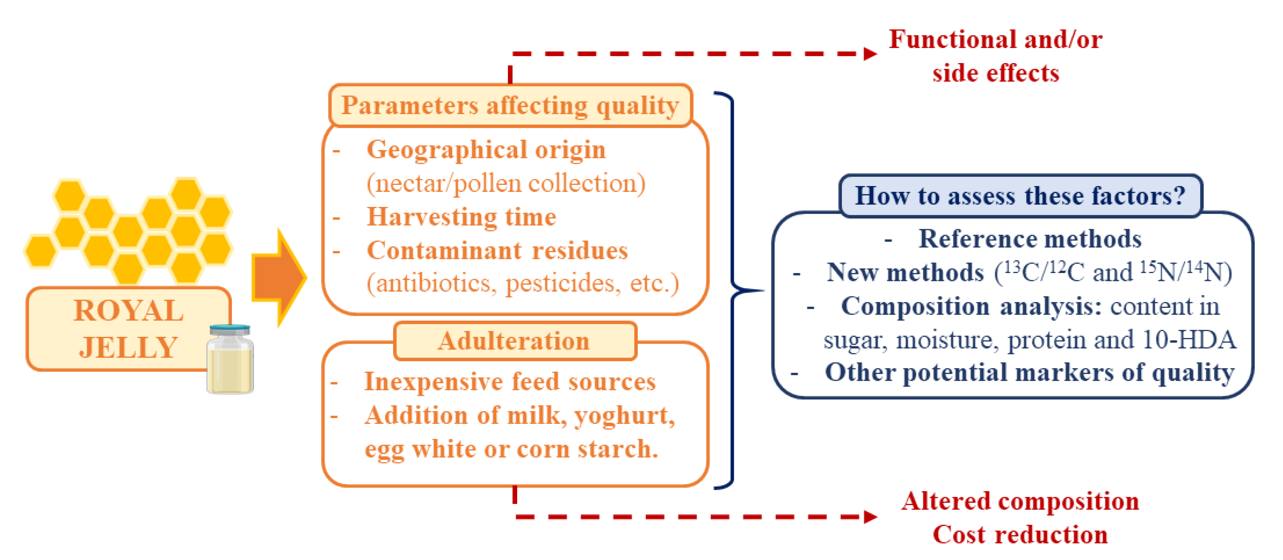 Nutrients 13 00543 g002 Nutrients 13 00543 g002