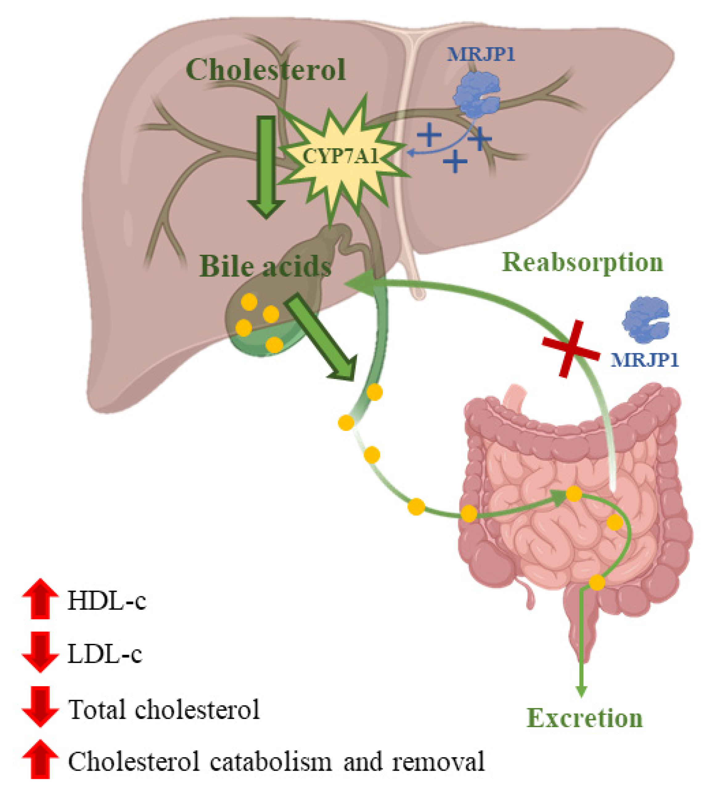 Nutrients 13 00543 g003 Nutrients 13 00543 g003