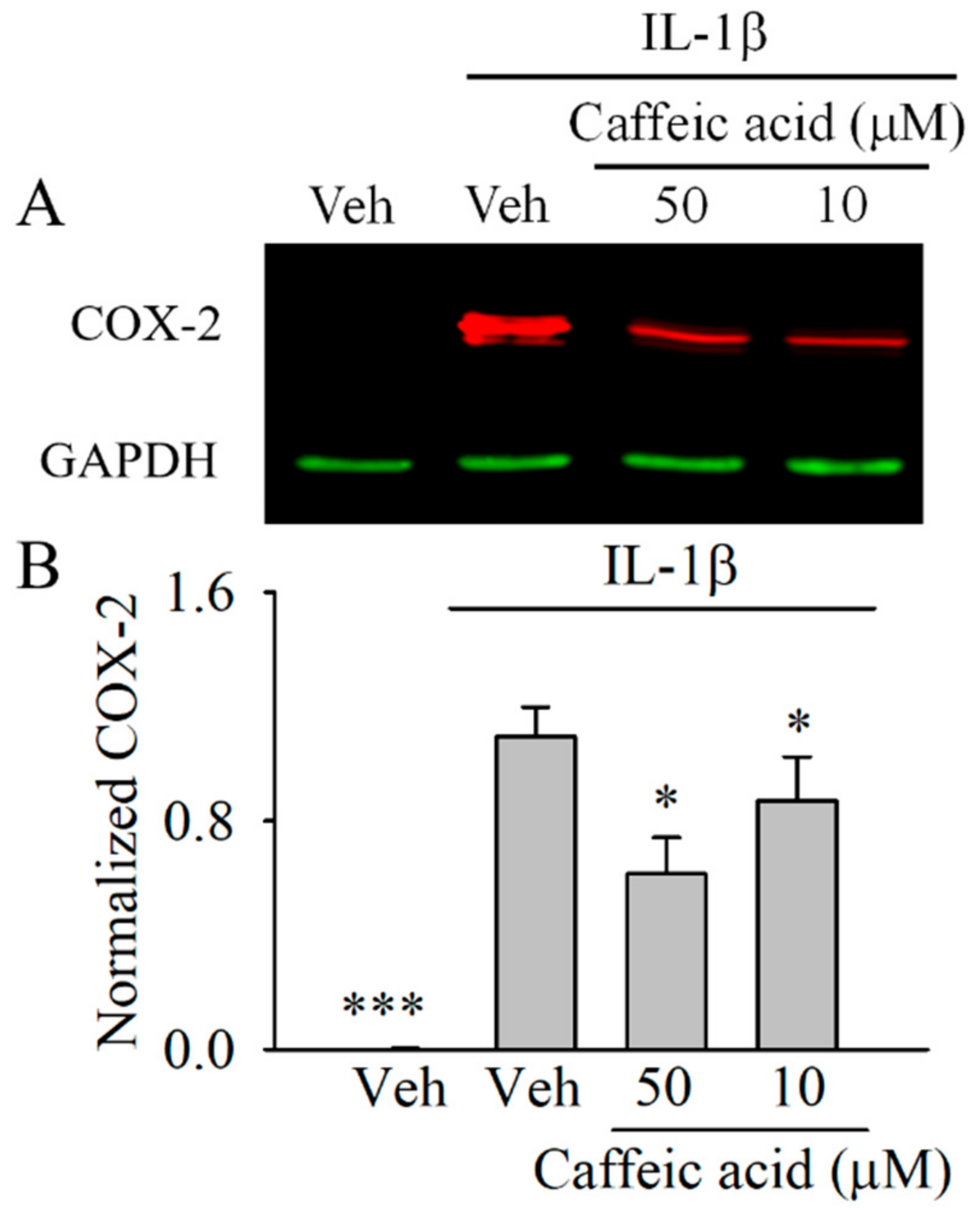 Nutrients 13 00554 g003 Nutrients 13 00554 g003