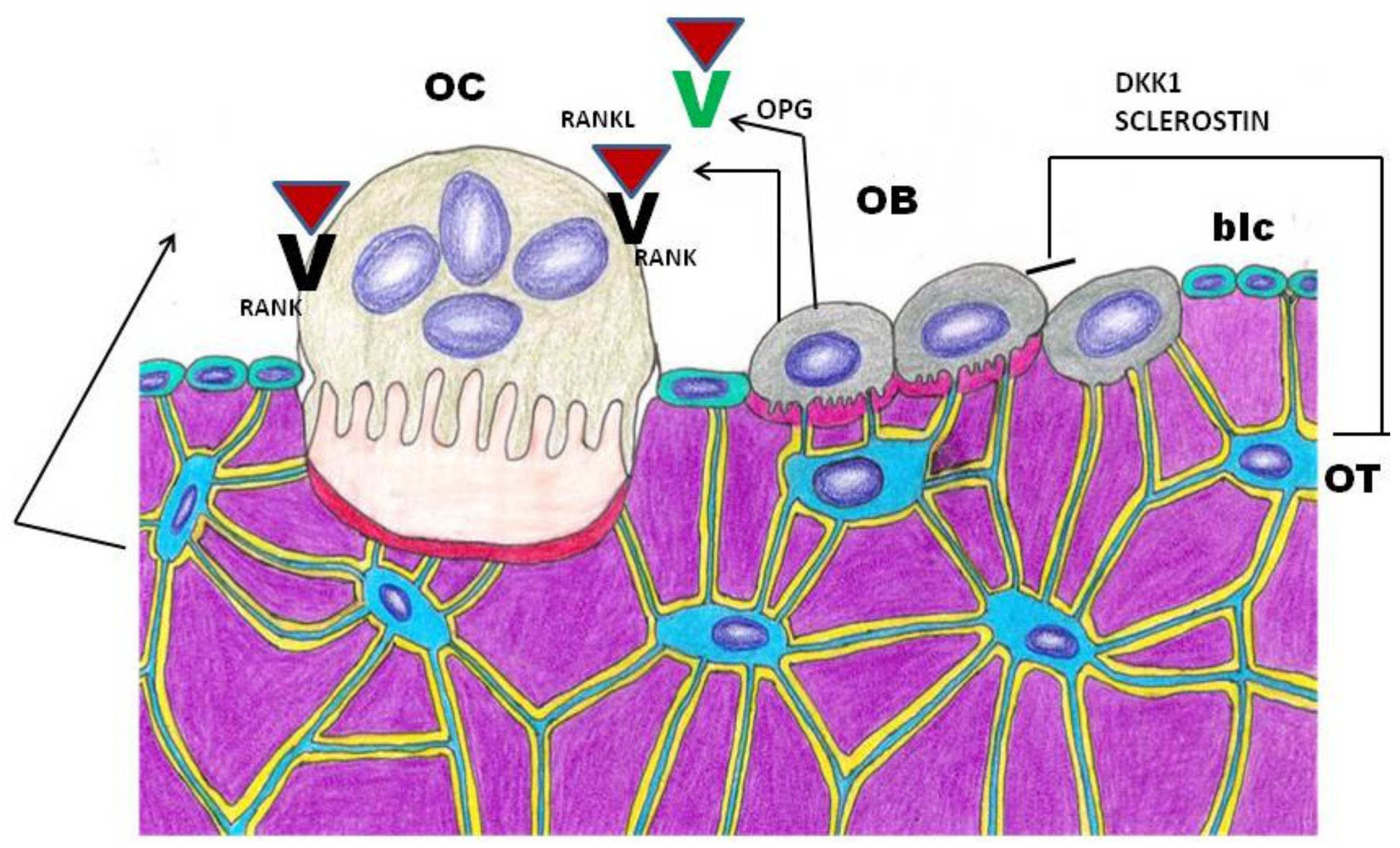 Nutrients 13 00561 g001