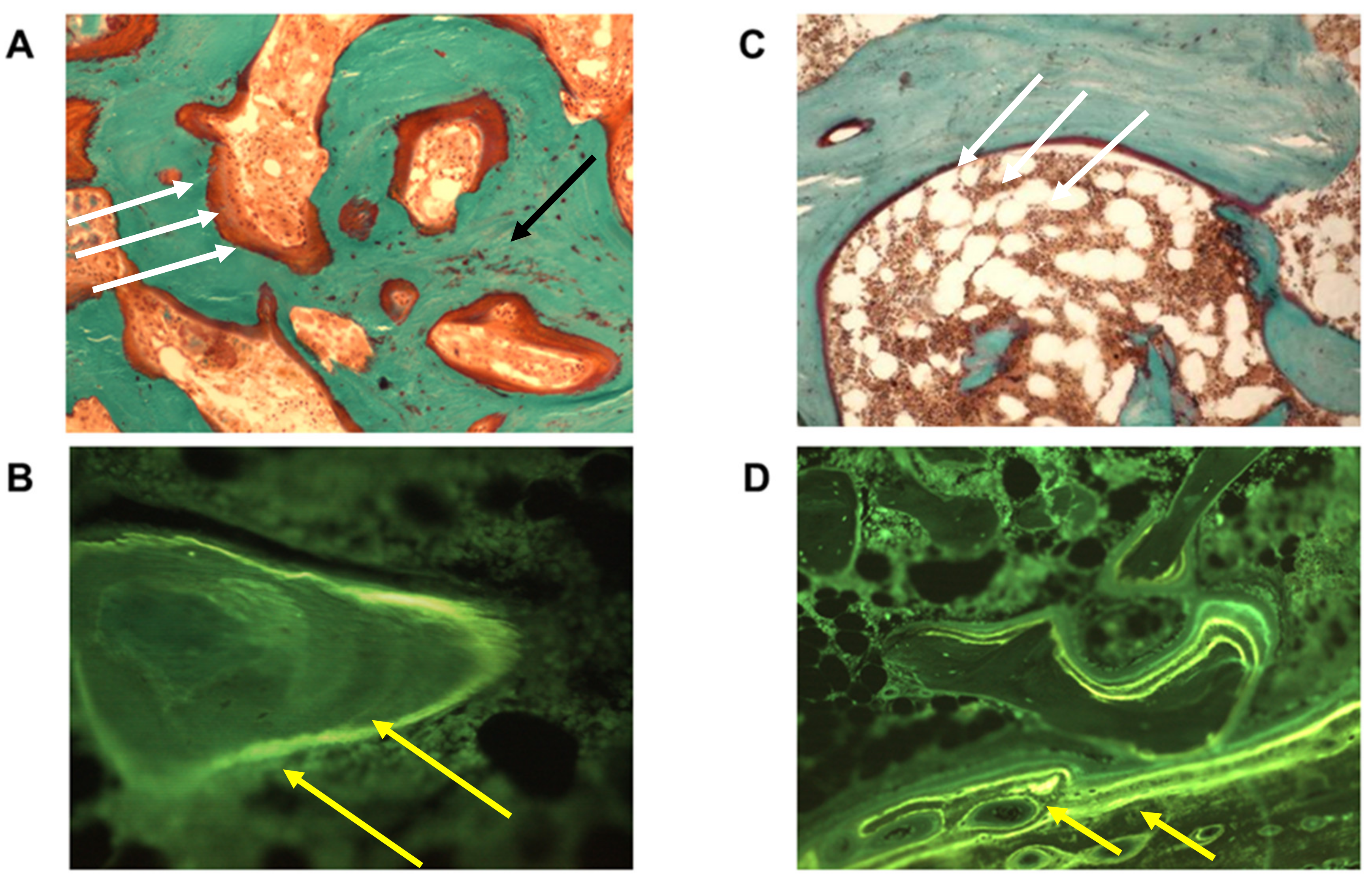 Nutrients 13 00561 g002